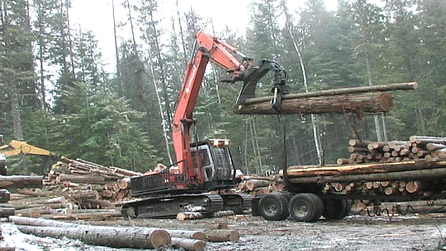 Holzfäller extrem