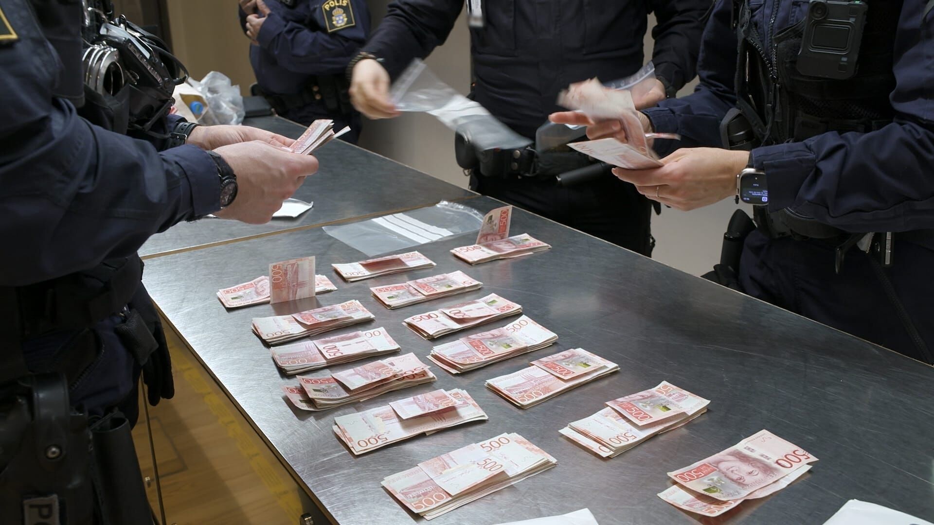 Border Control: Schwedens Grenzschützer