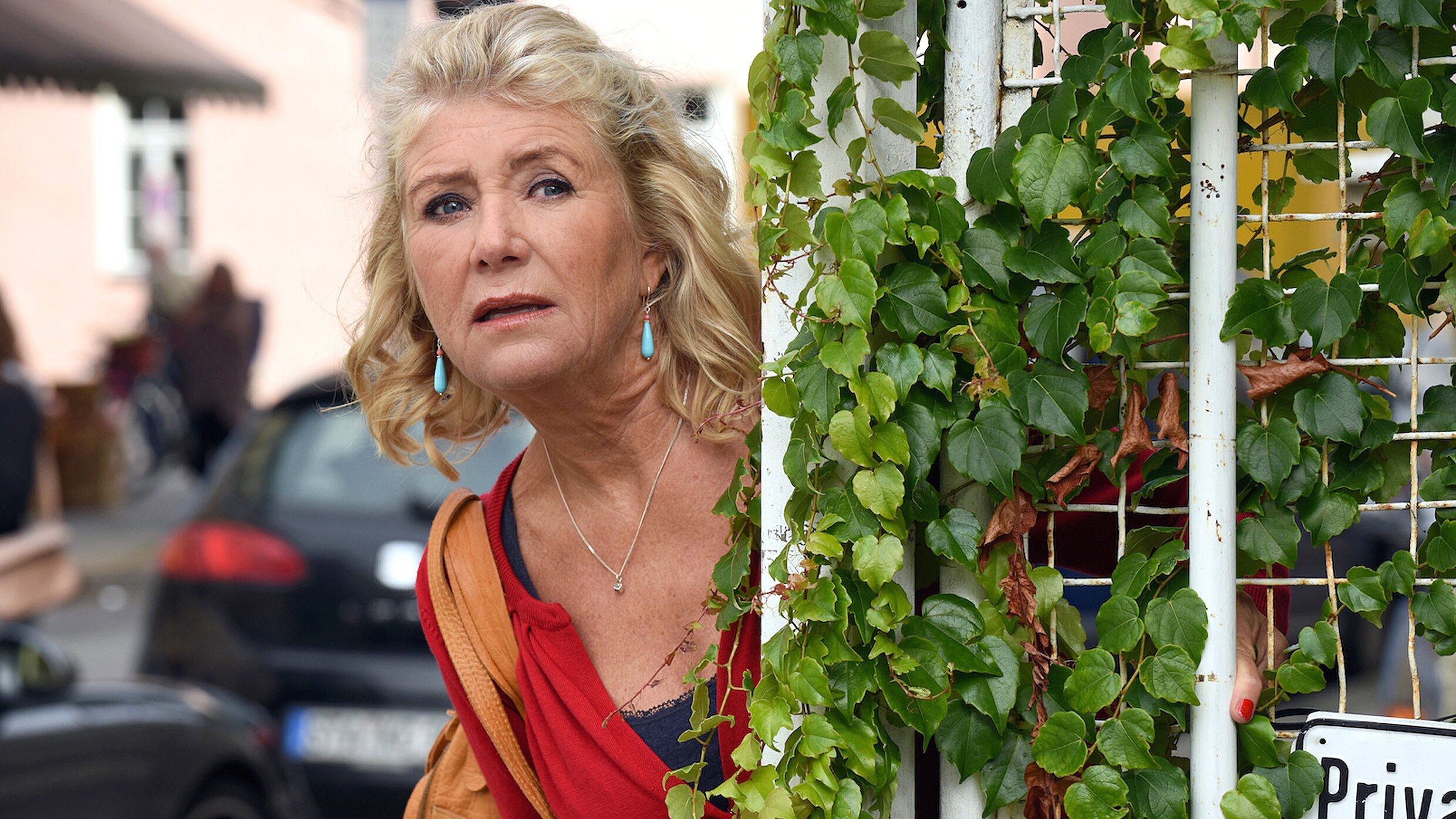 Fanny und die geheimen Väter