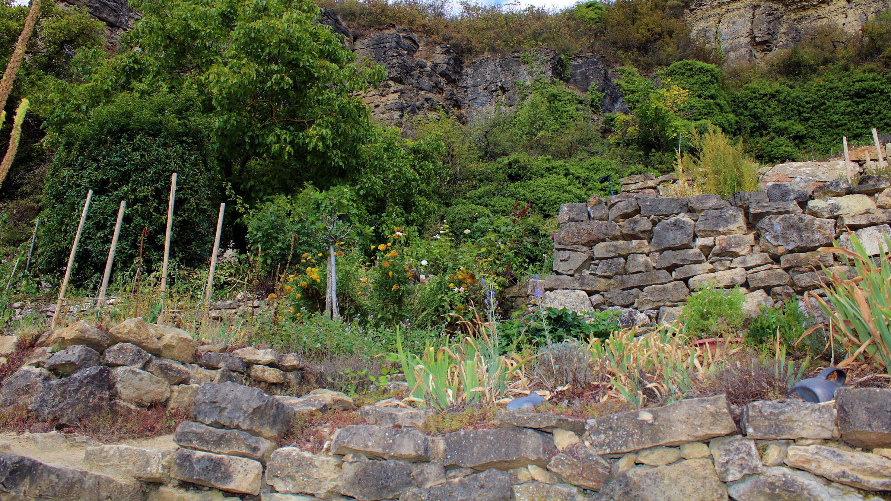 Mein leckerer Garten