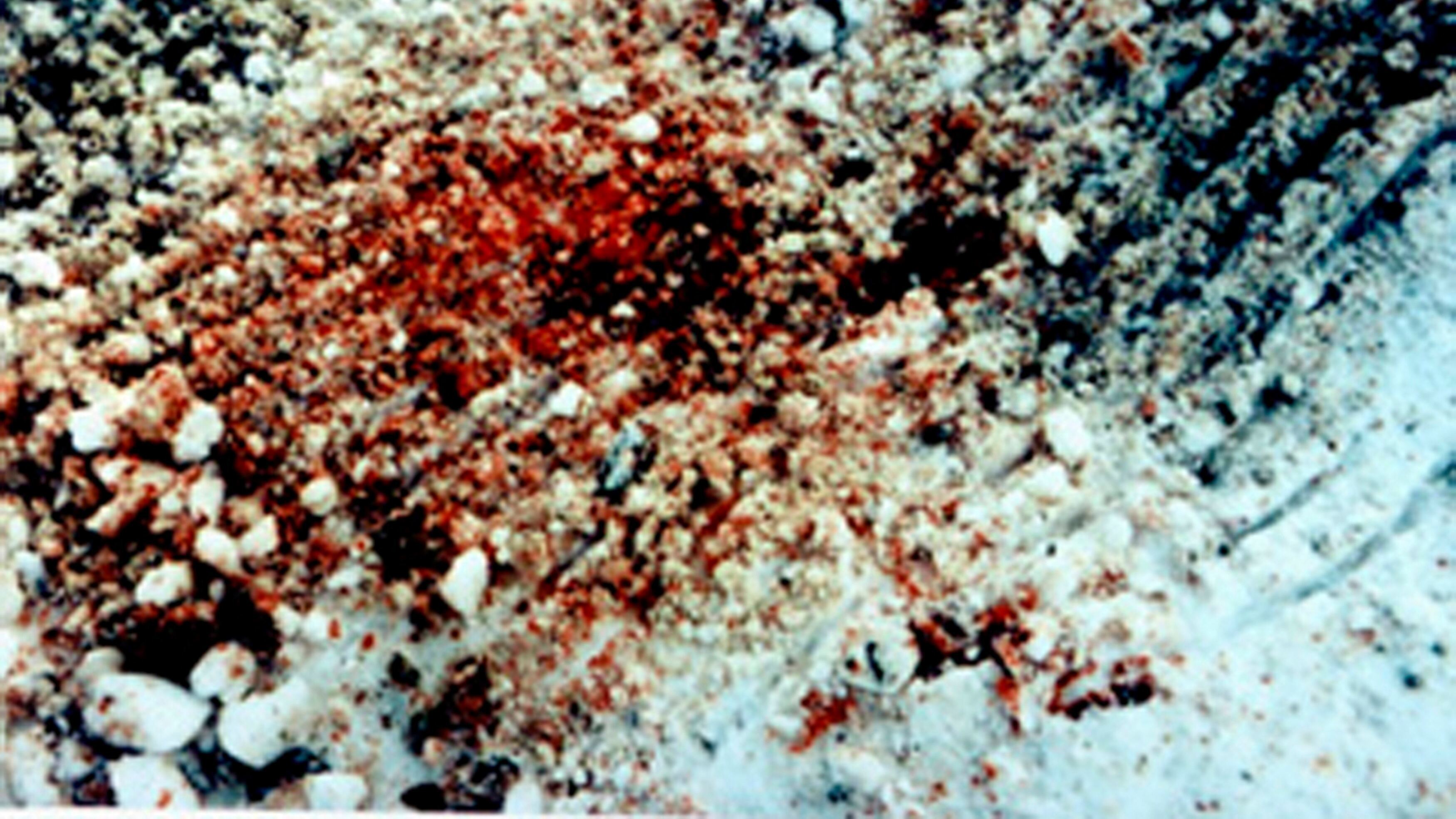 Verbrechen nebenan – City Confidential