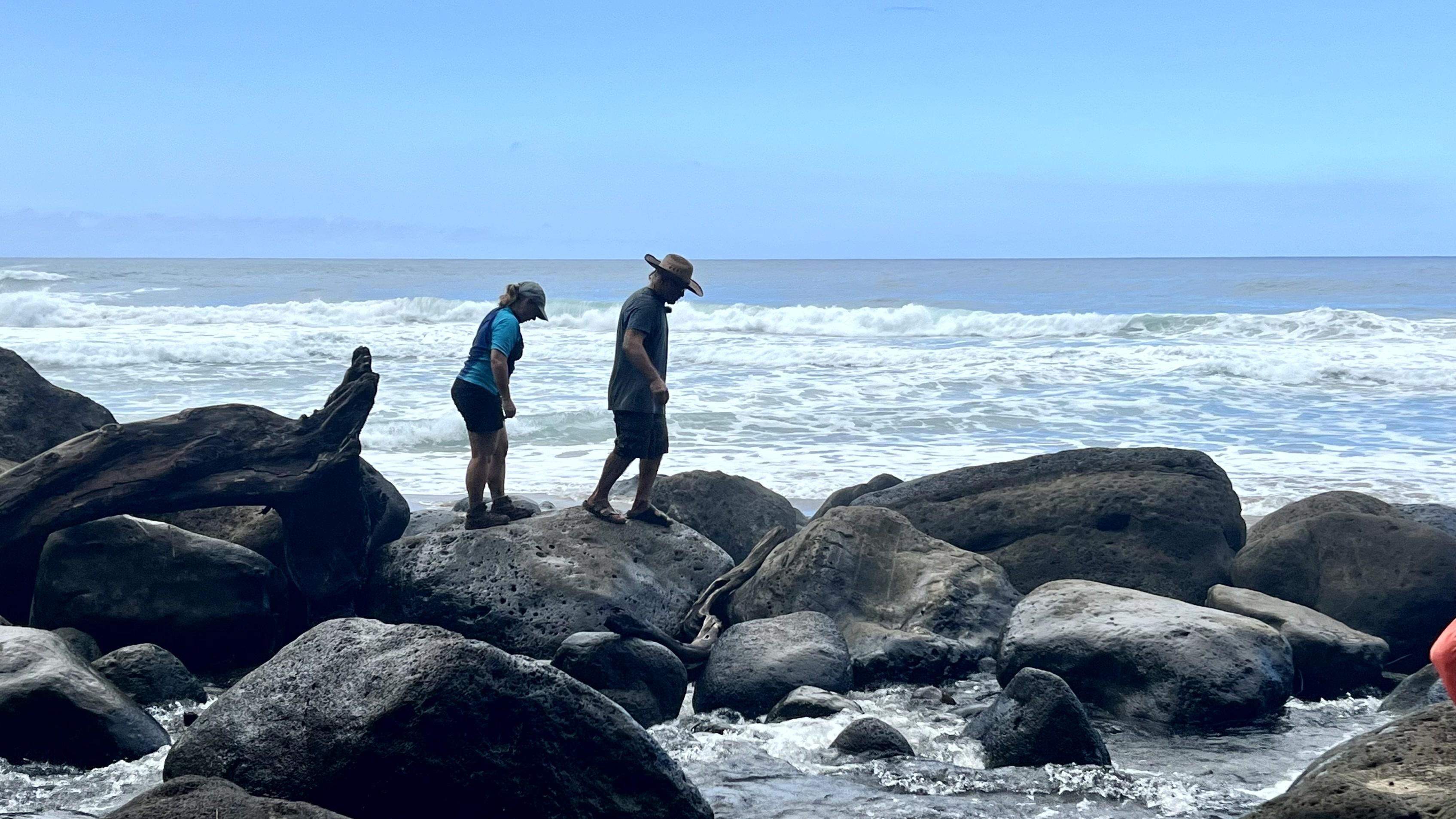 Willkommen bei den Reimanns