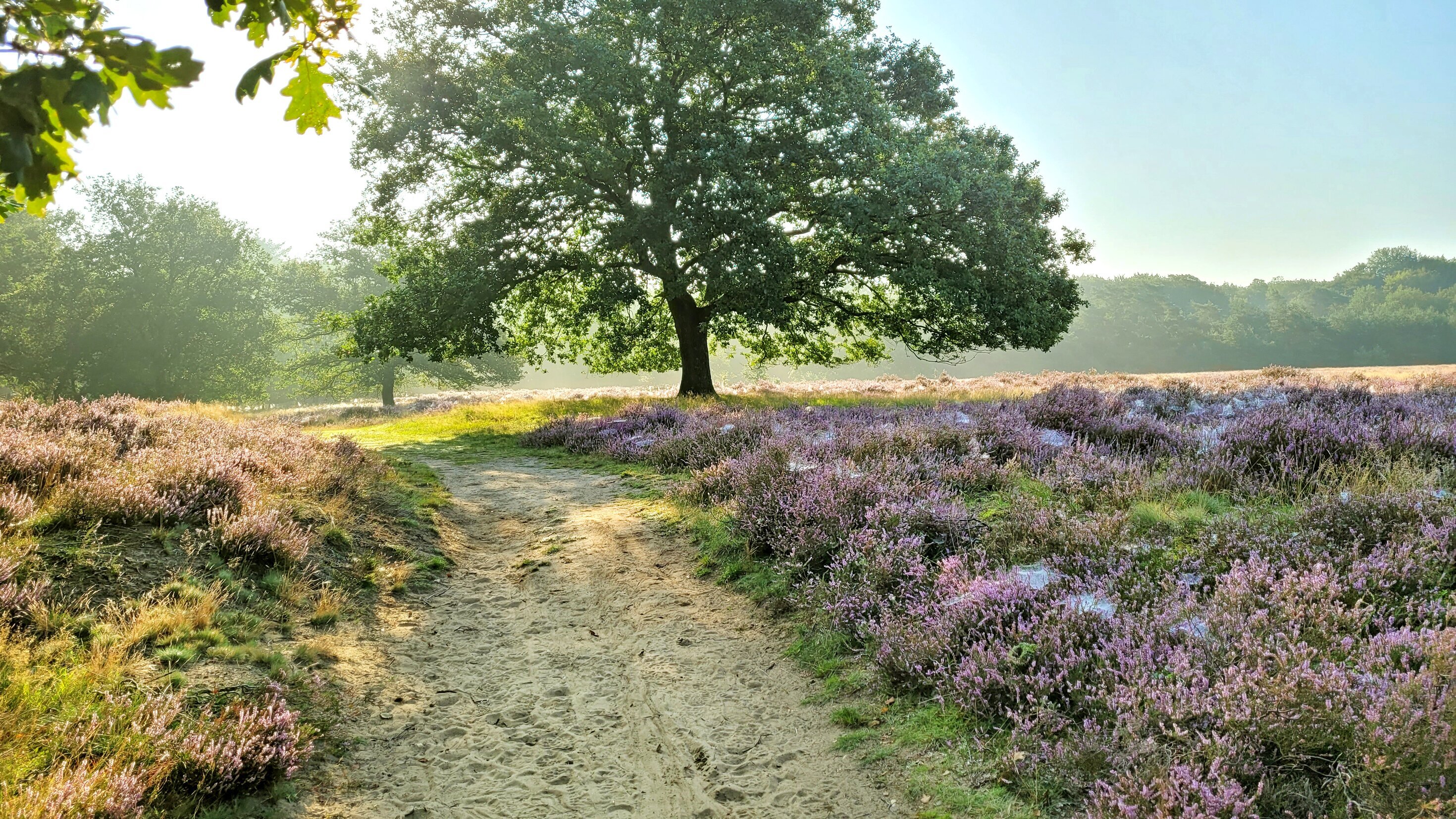 Gelderland, da will ich hin!