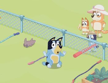 Bluey