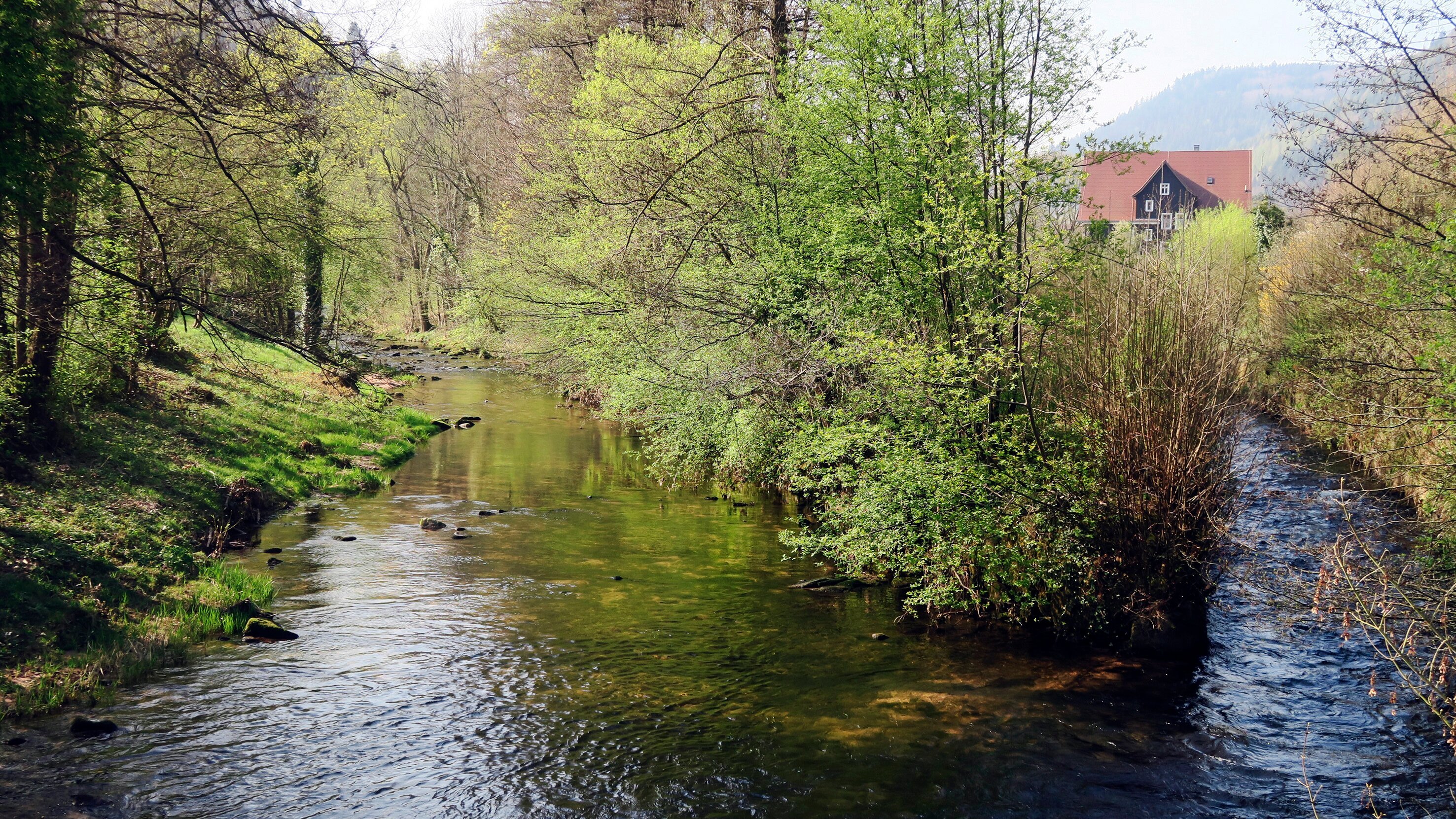 Expedition in die Heimat