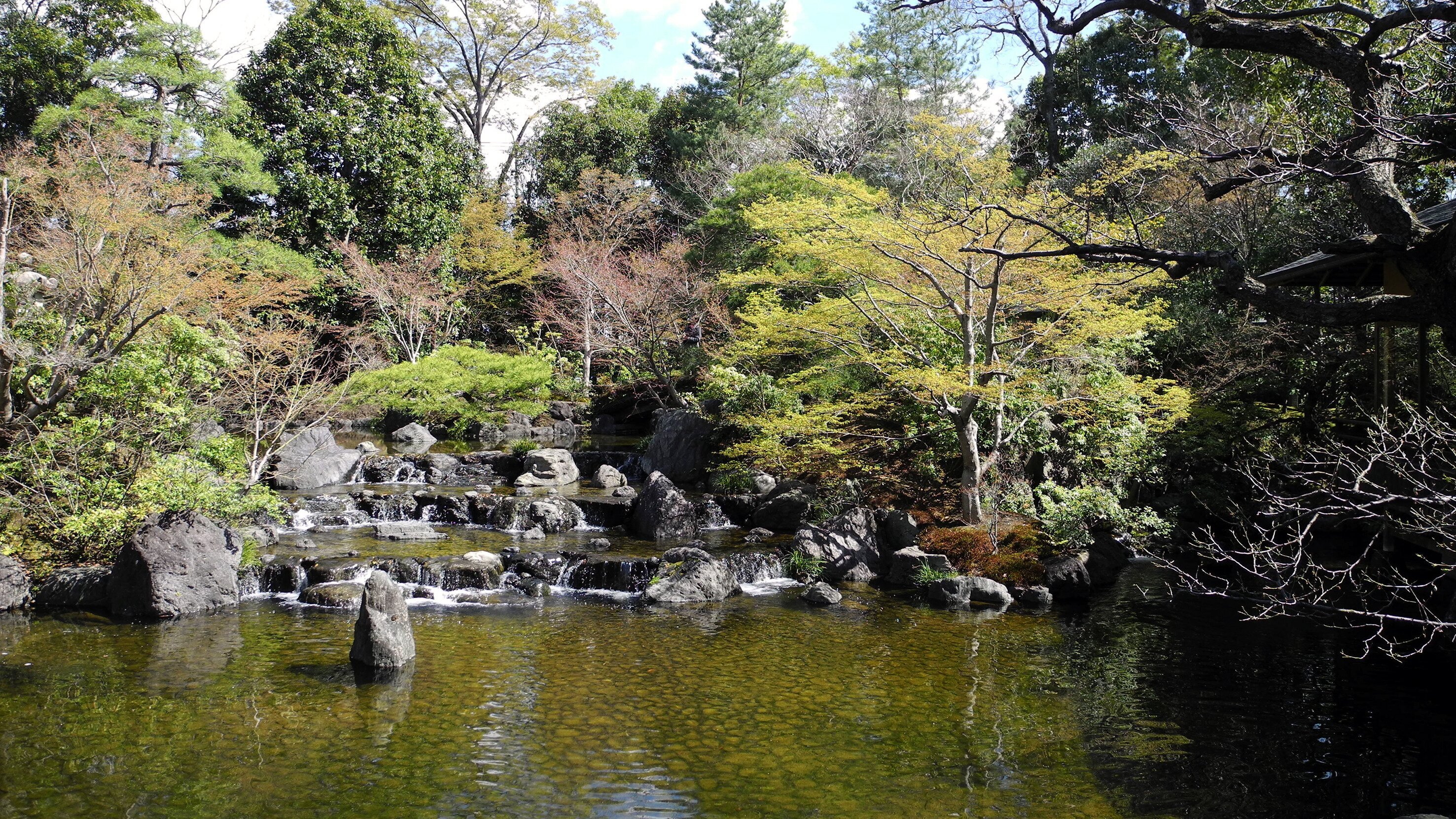 Der Meister des Zen-Gartens