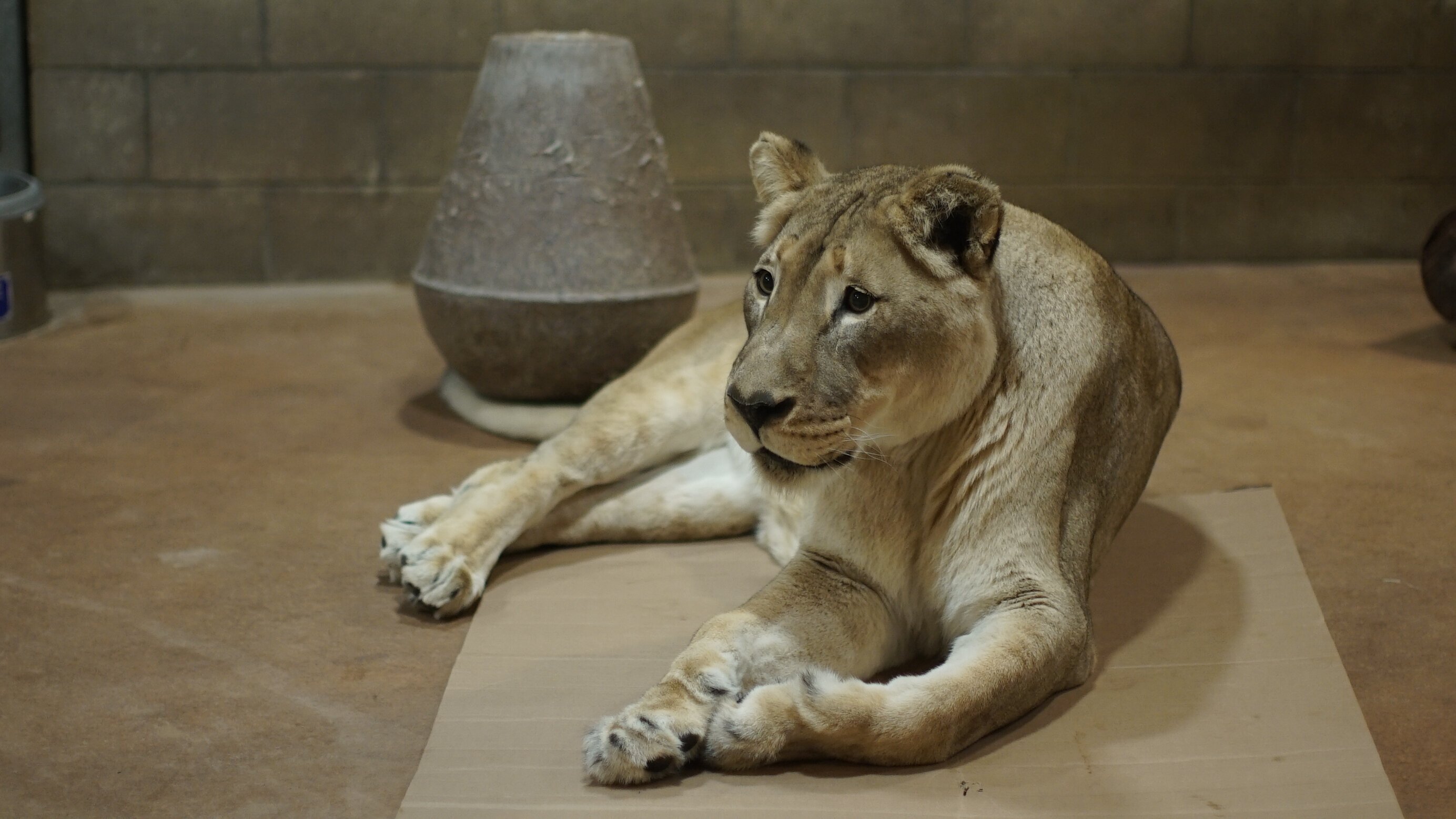San Diego Zoo