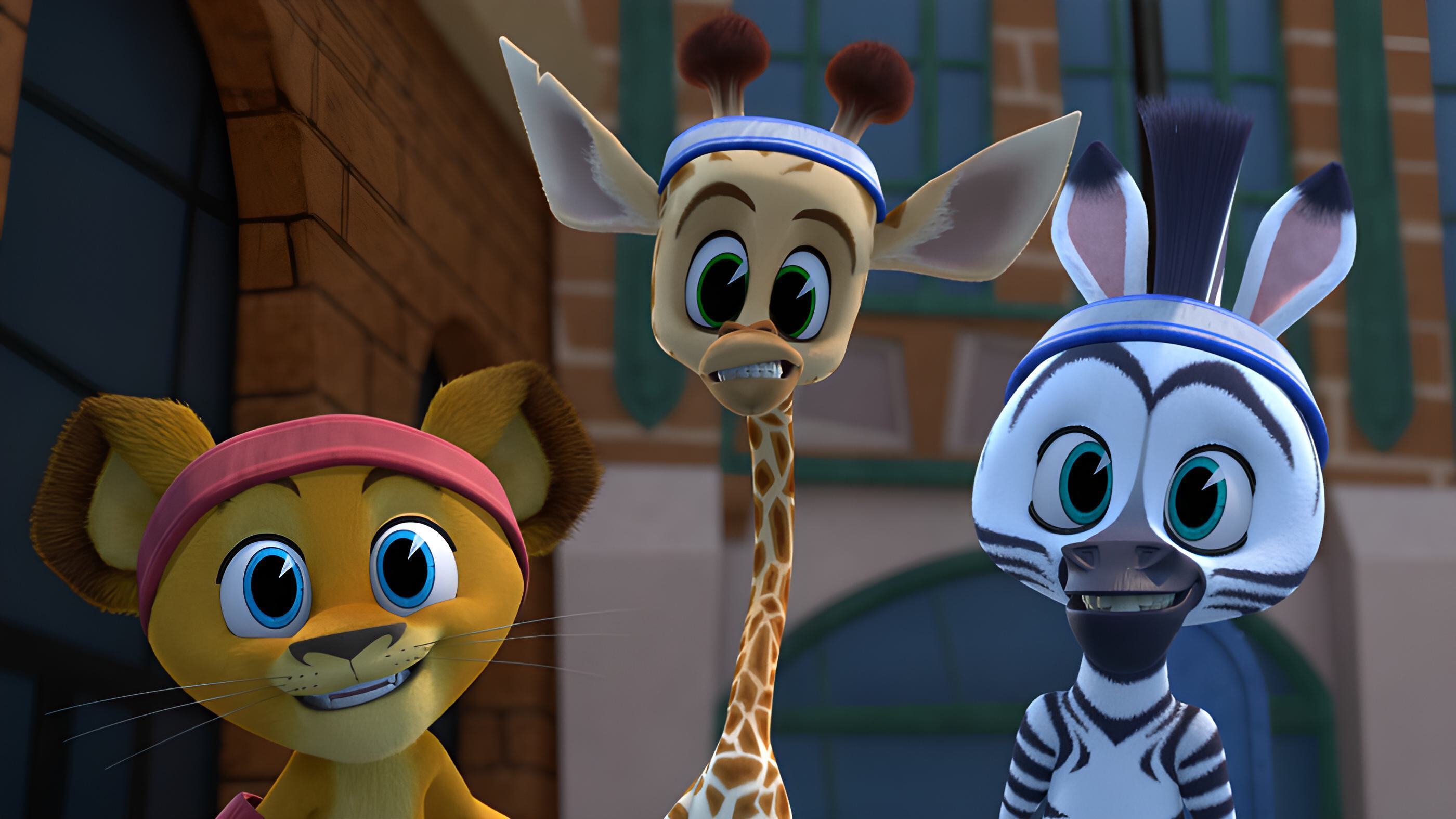 Madagascar – Die kleine Wildnis