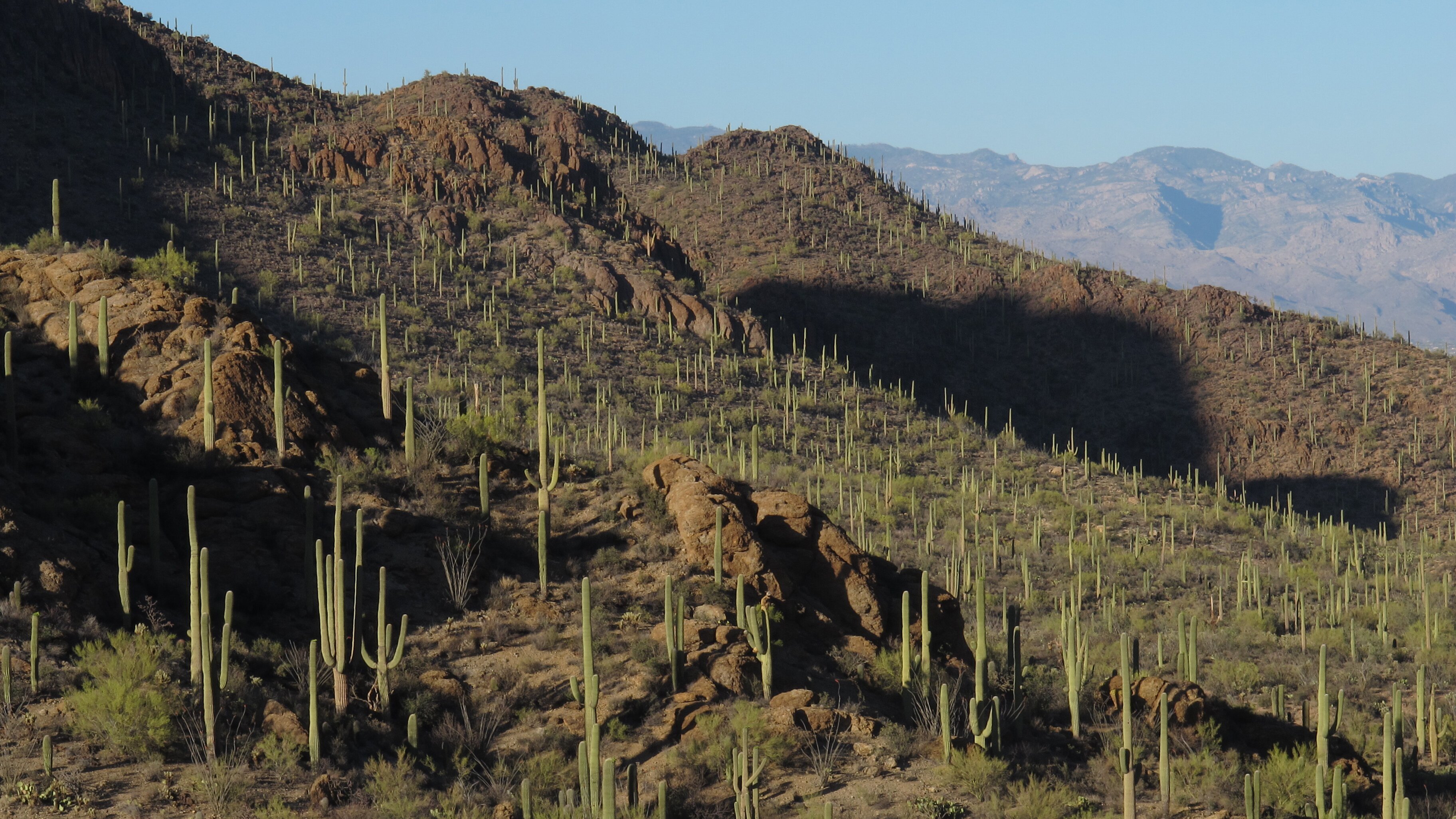 Amerikas Naturwunder