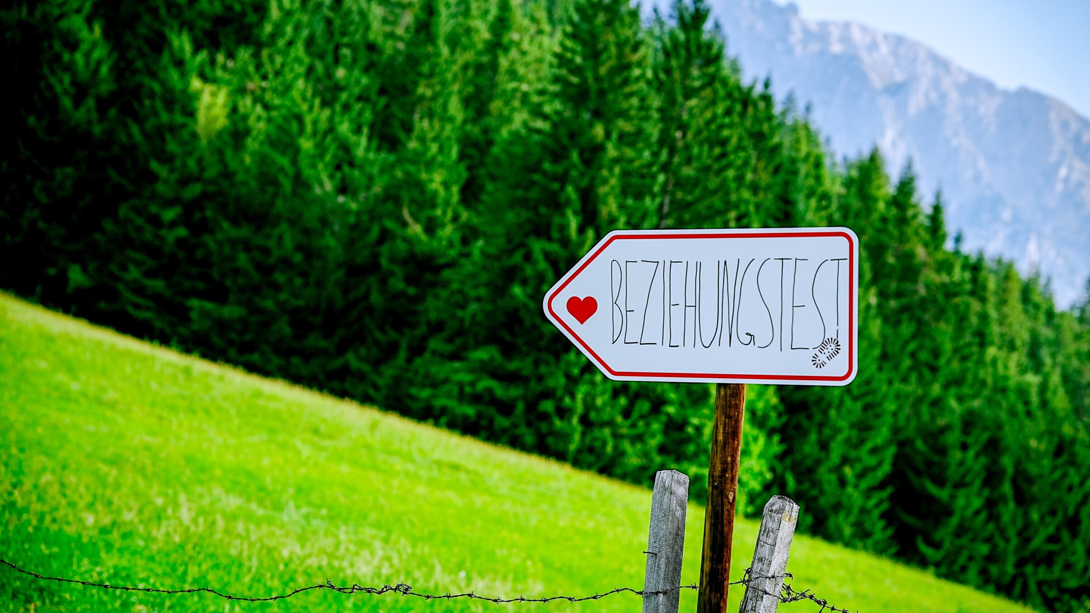 Willst Du mit mir gehen?