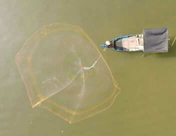 Le sud du Vietnam au fil de l'eau