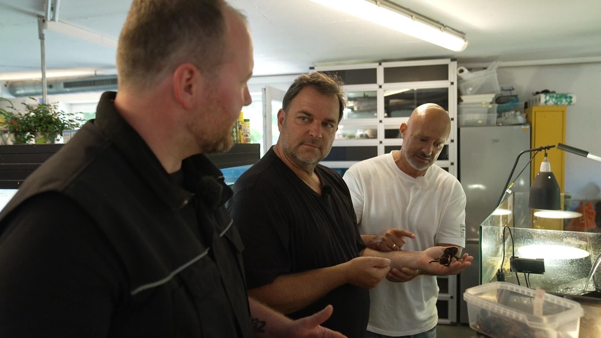 Martin Rütters Tierheimhelden