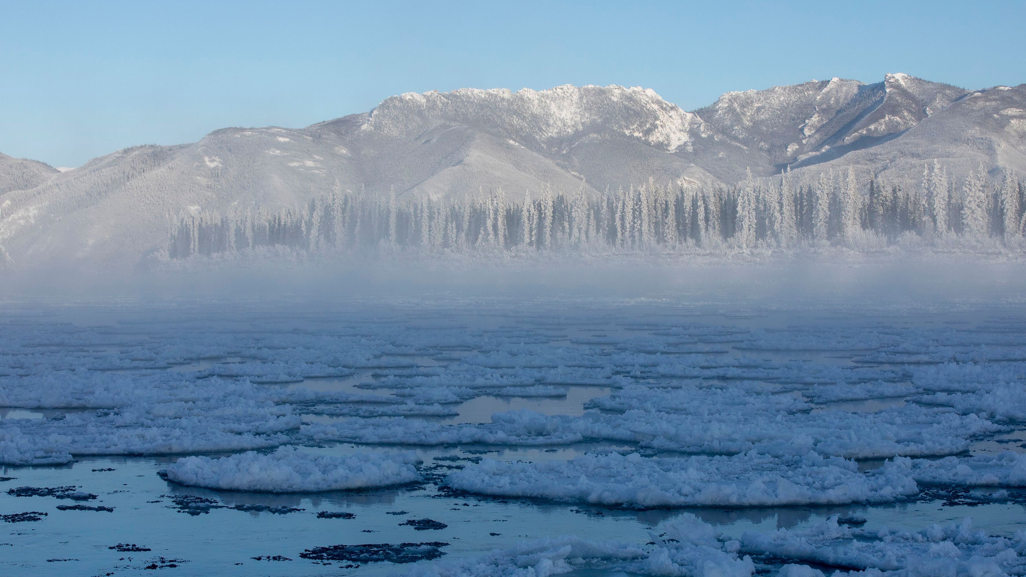 Life Below Zero: Canada