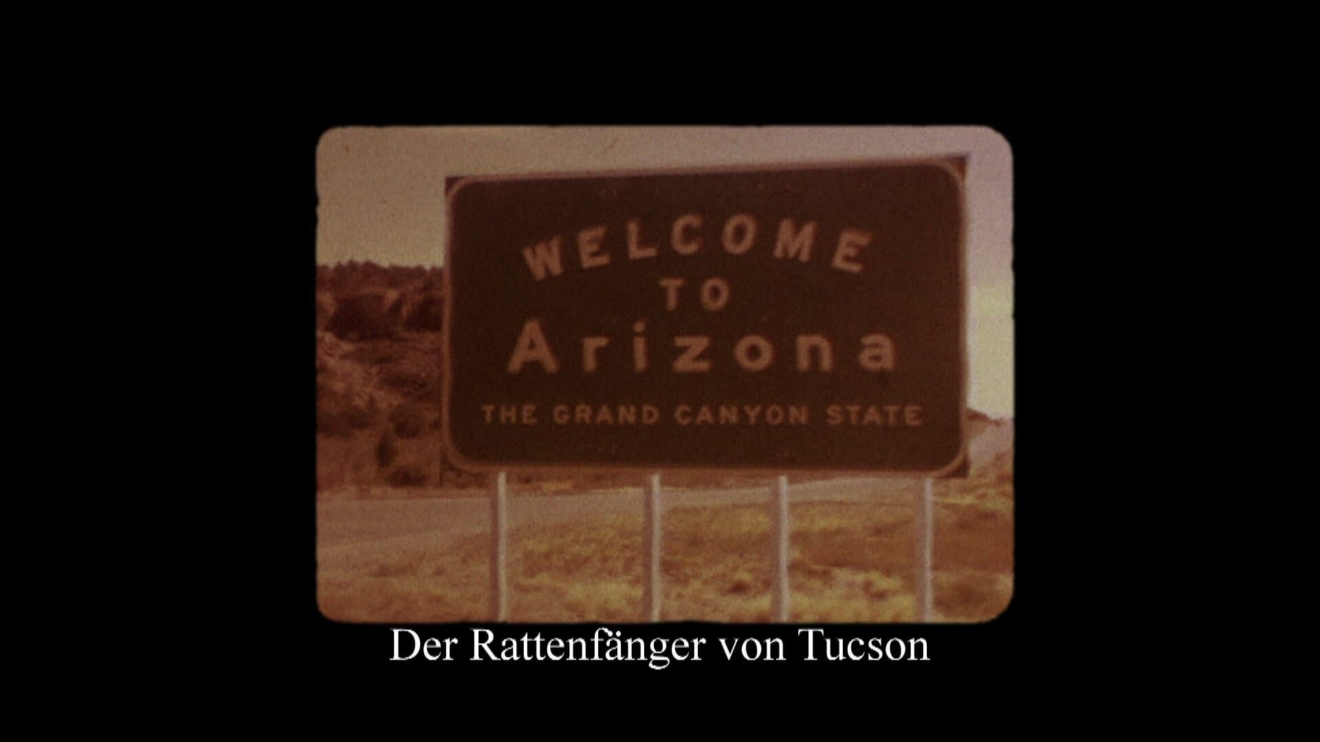 The Crime Chronicles