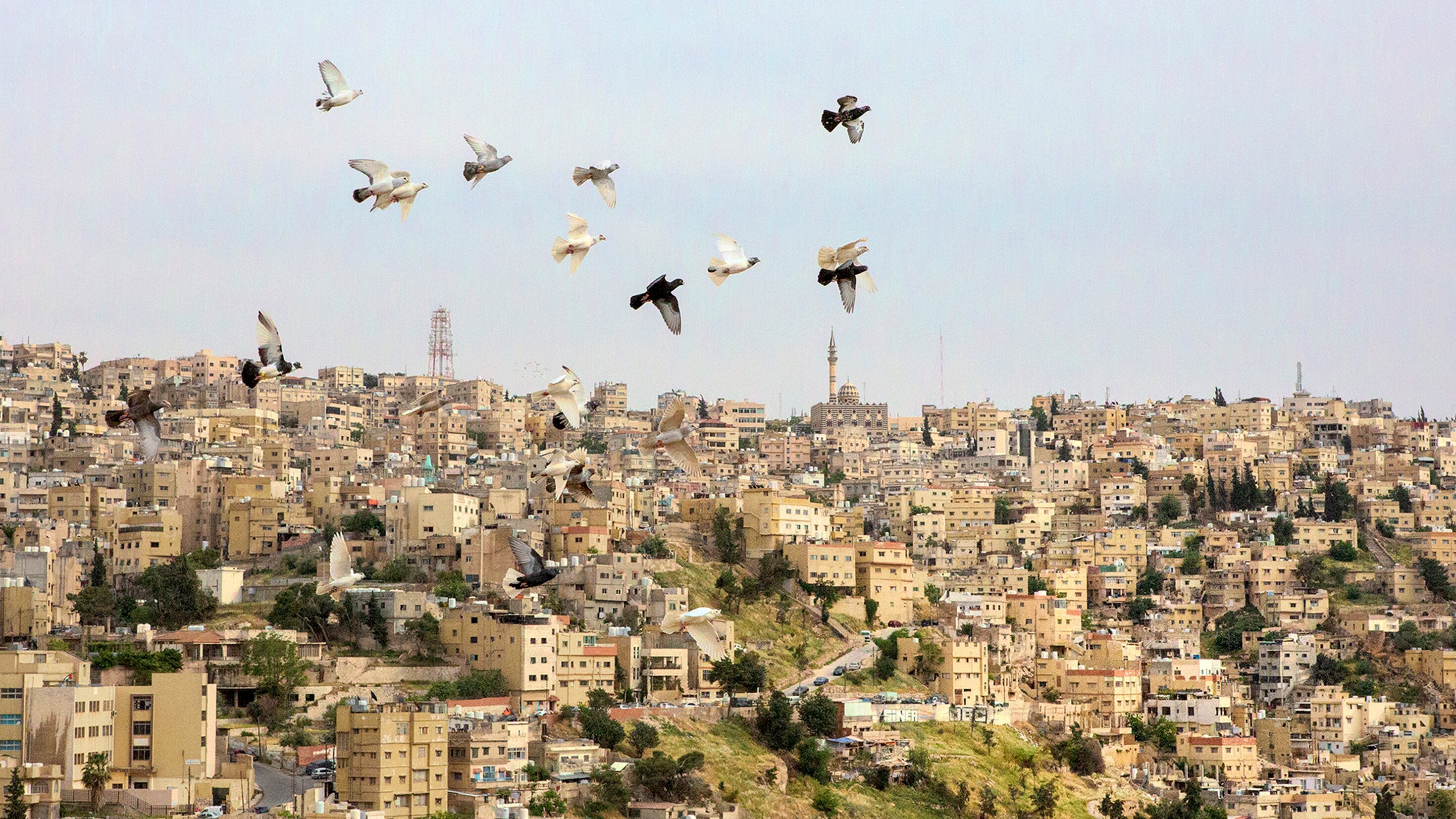 Das Königreich Jordanien – Zwischen Jordan und dem Toten Meer