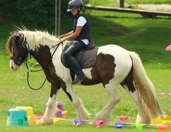 Au galop ! Une saison à cheval