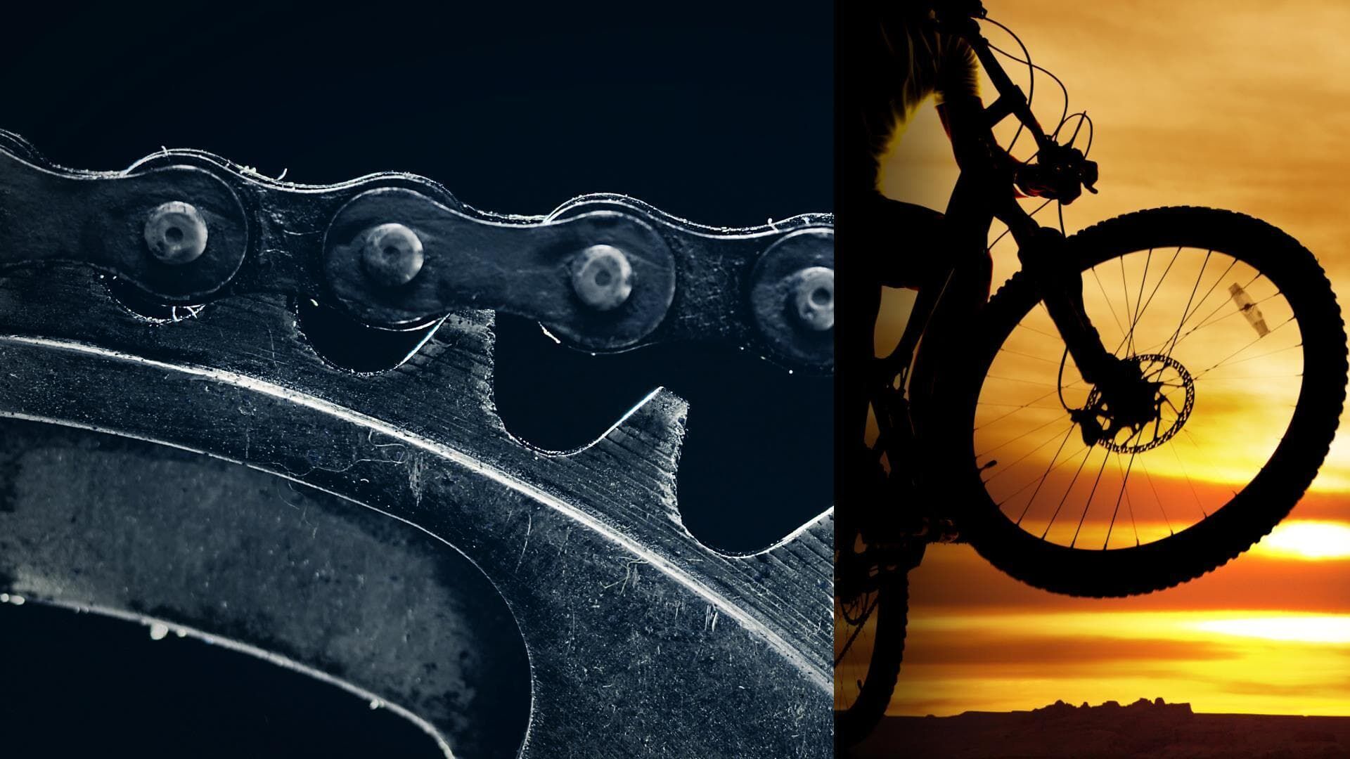 Mountainbike: Weltmeisterschaften