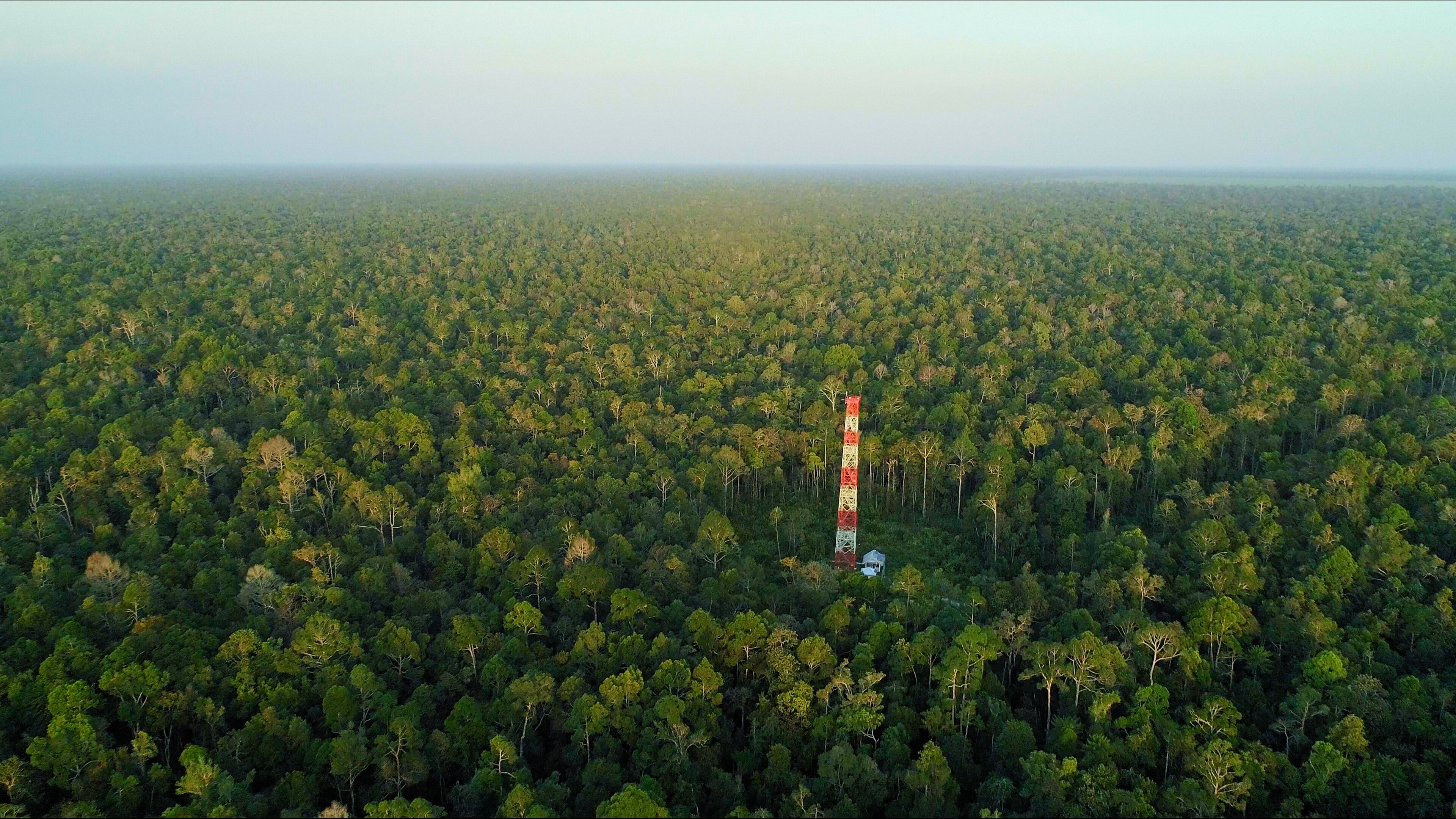Indonesien – Im Einsatz für Sumatras Urwald