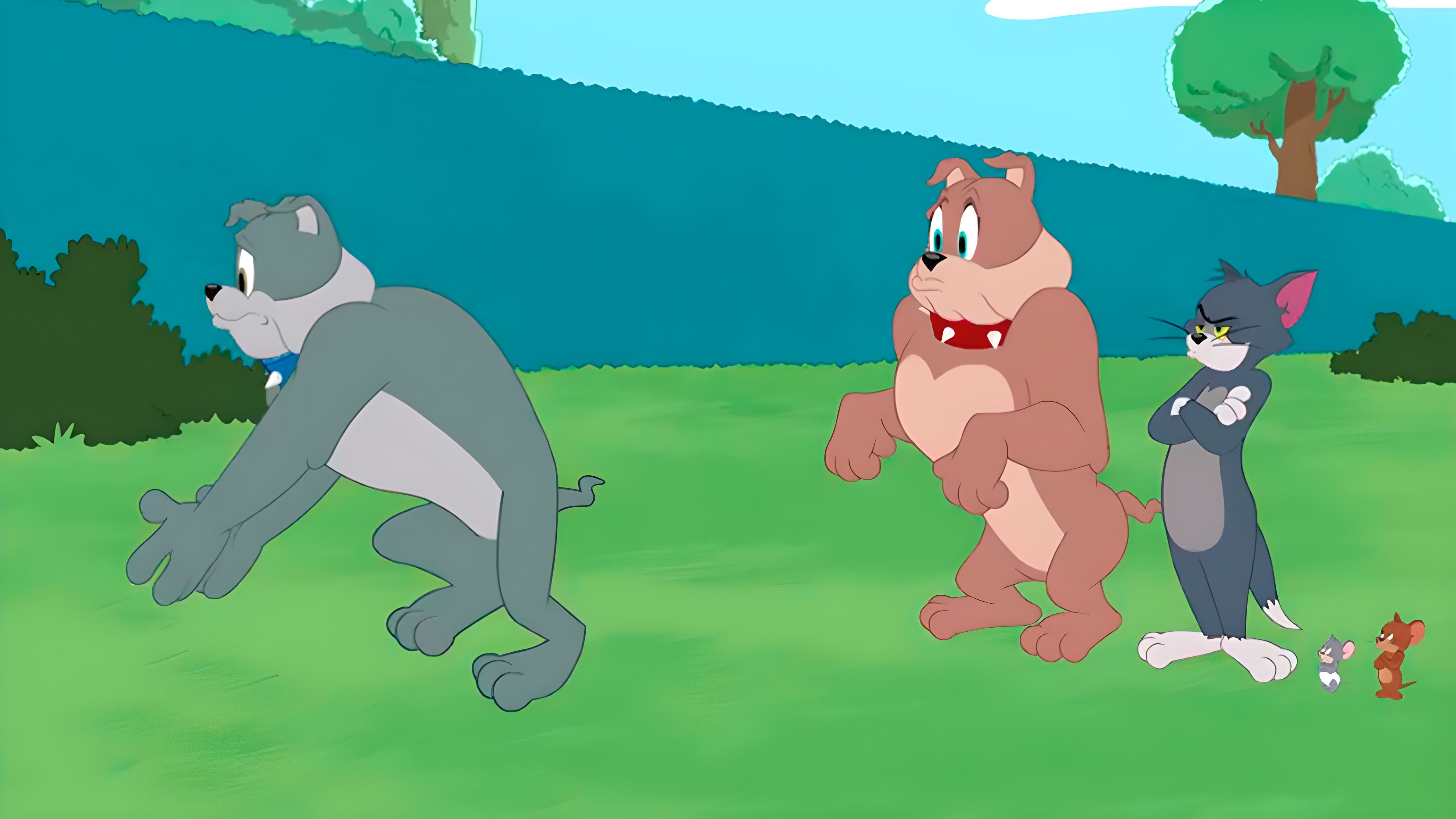Die Tom und Jerry Show