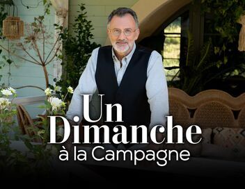 Un dimanche à la campagne