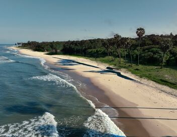 Les hippopotames surfeurs du Gabon