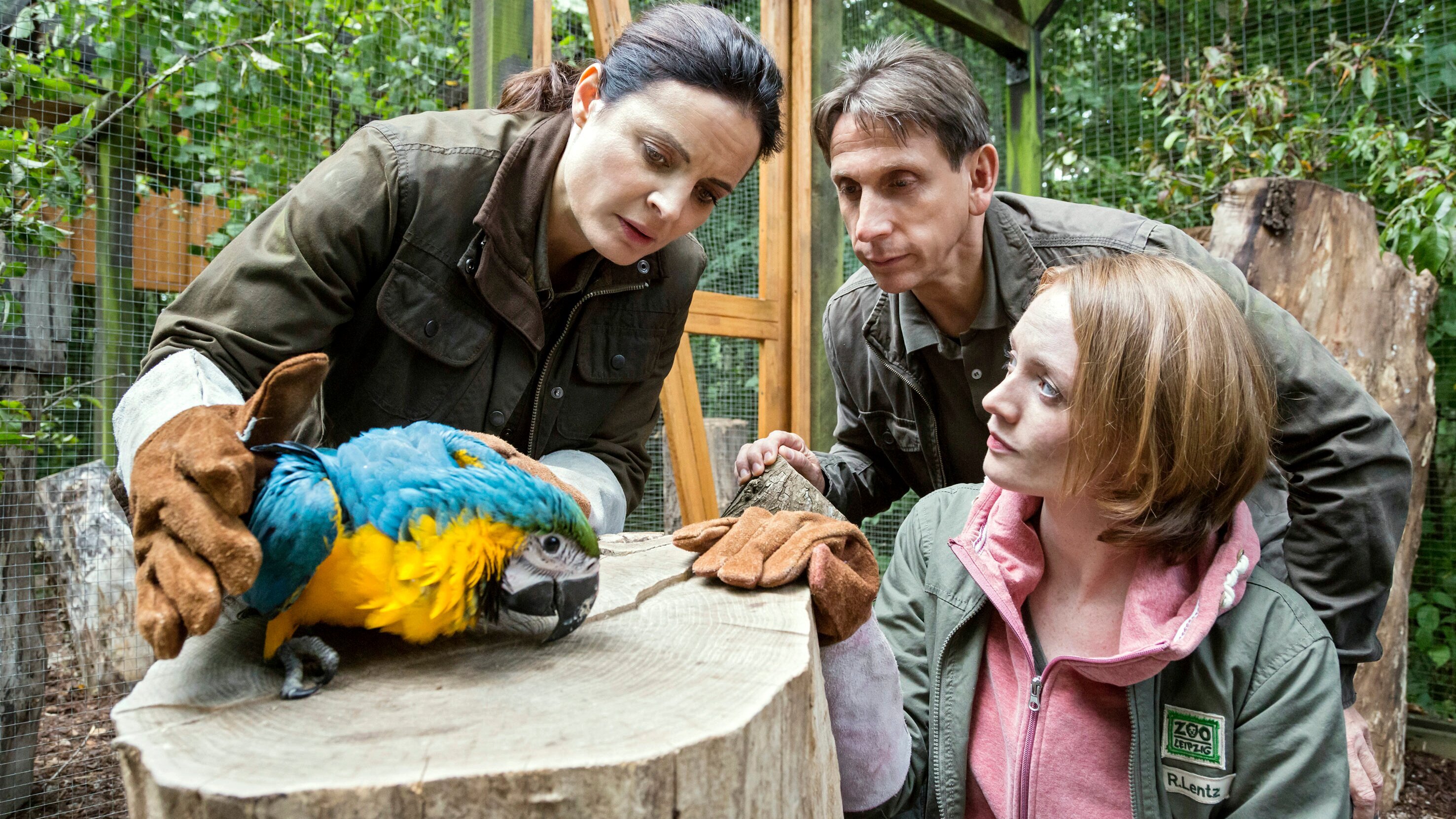 Tierärztin Dr. Mertens