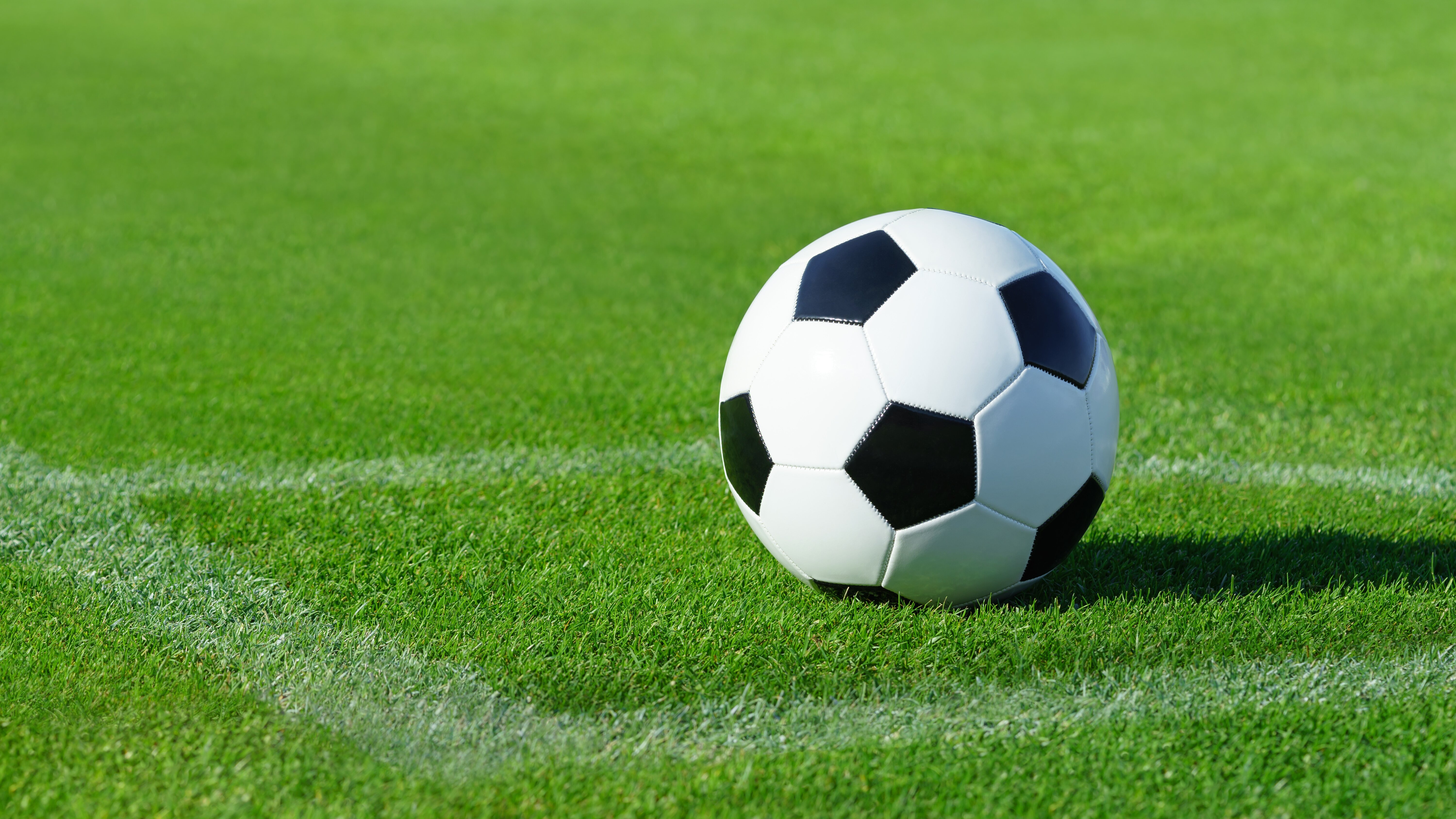 UEFA Europa League Quali. 3.Rd. Hinspiel: