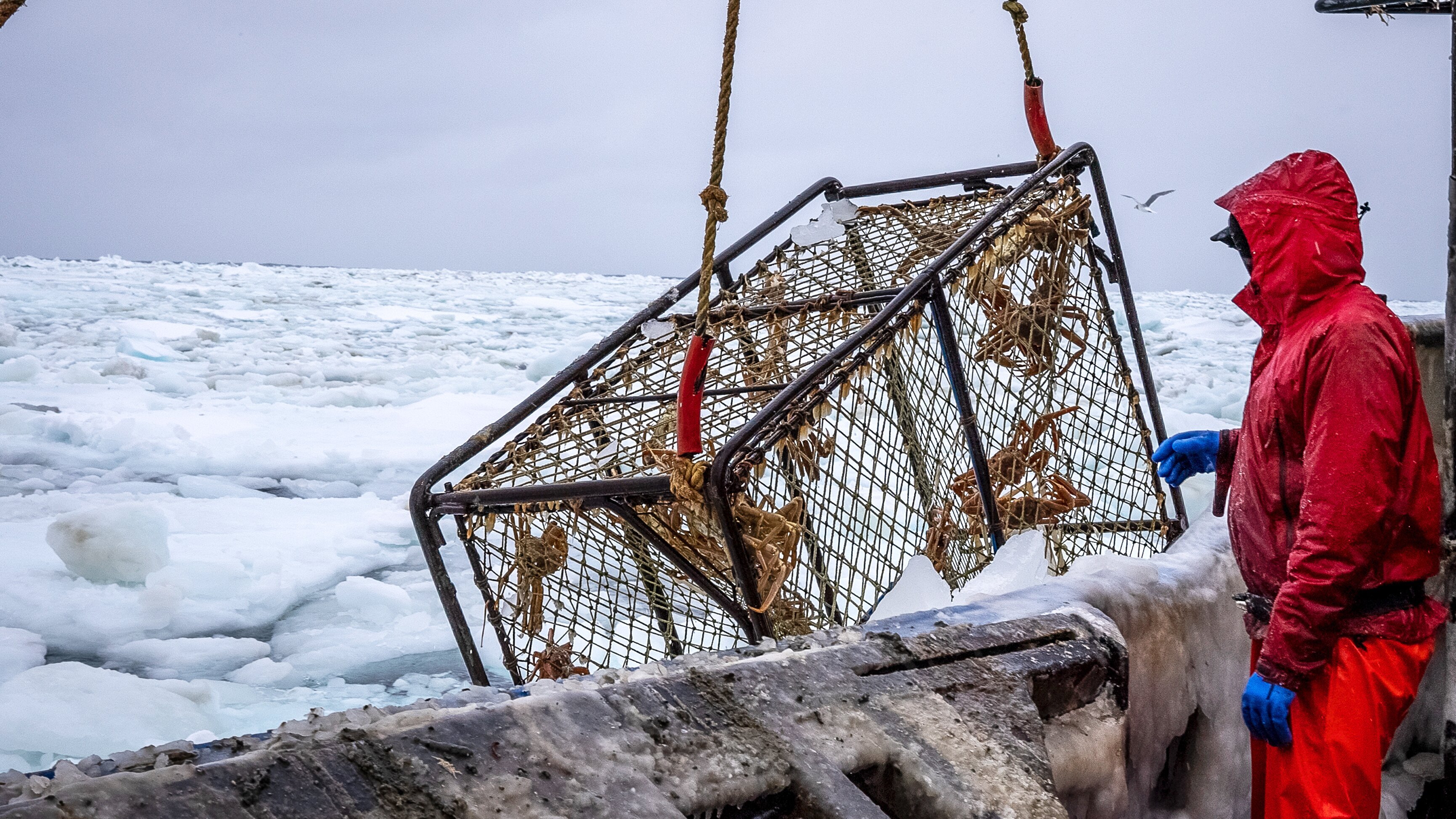 Fang des Lebens – Der gefährlichste Job Alaskas