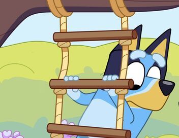 Bluey