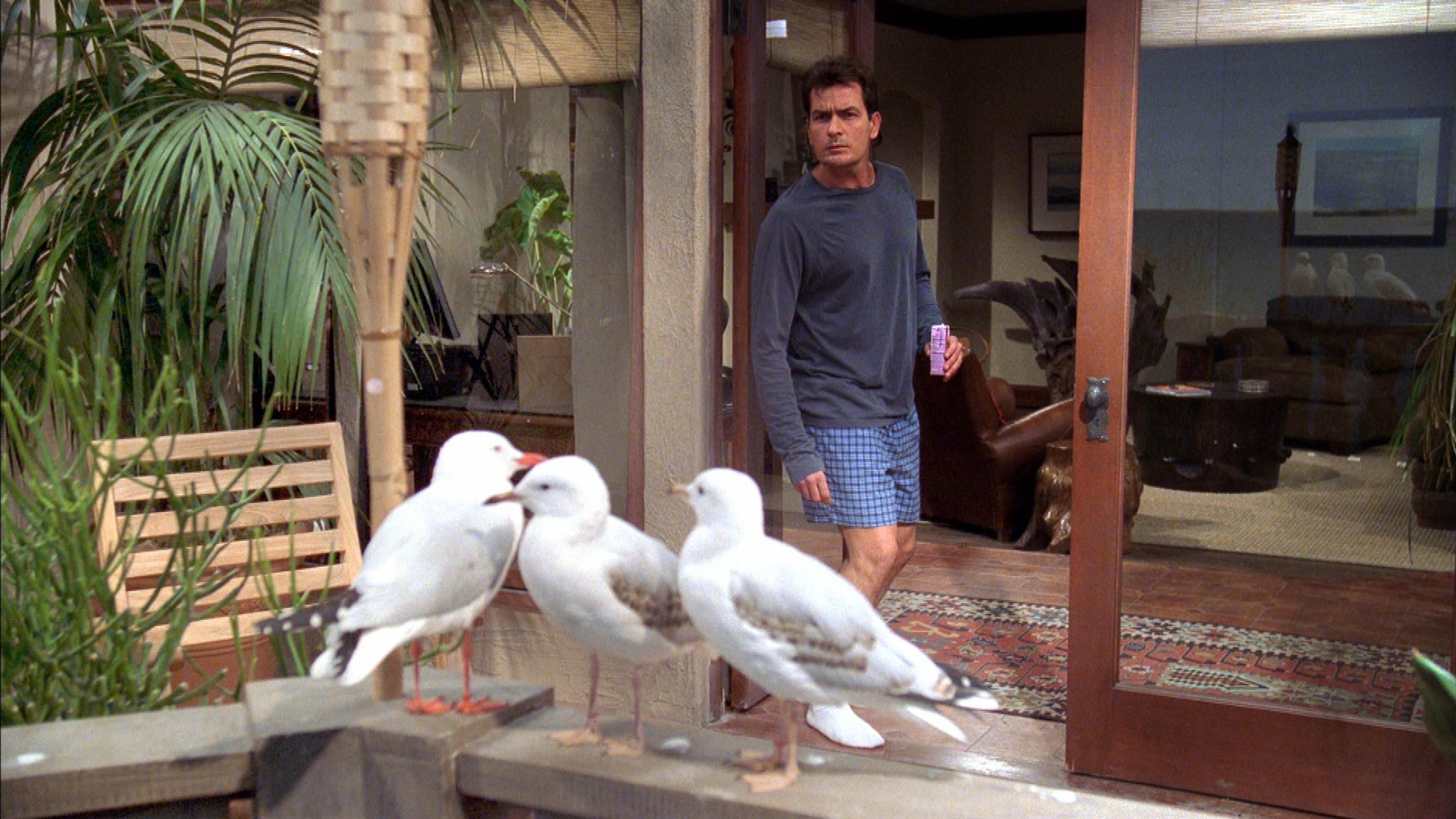 Two and a Half Men
