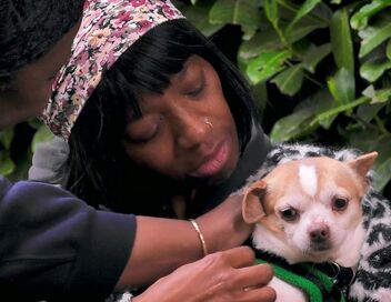 Dog House : un chien pour la vie