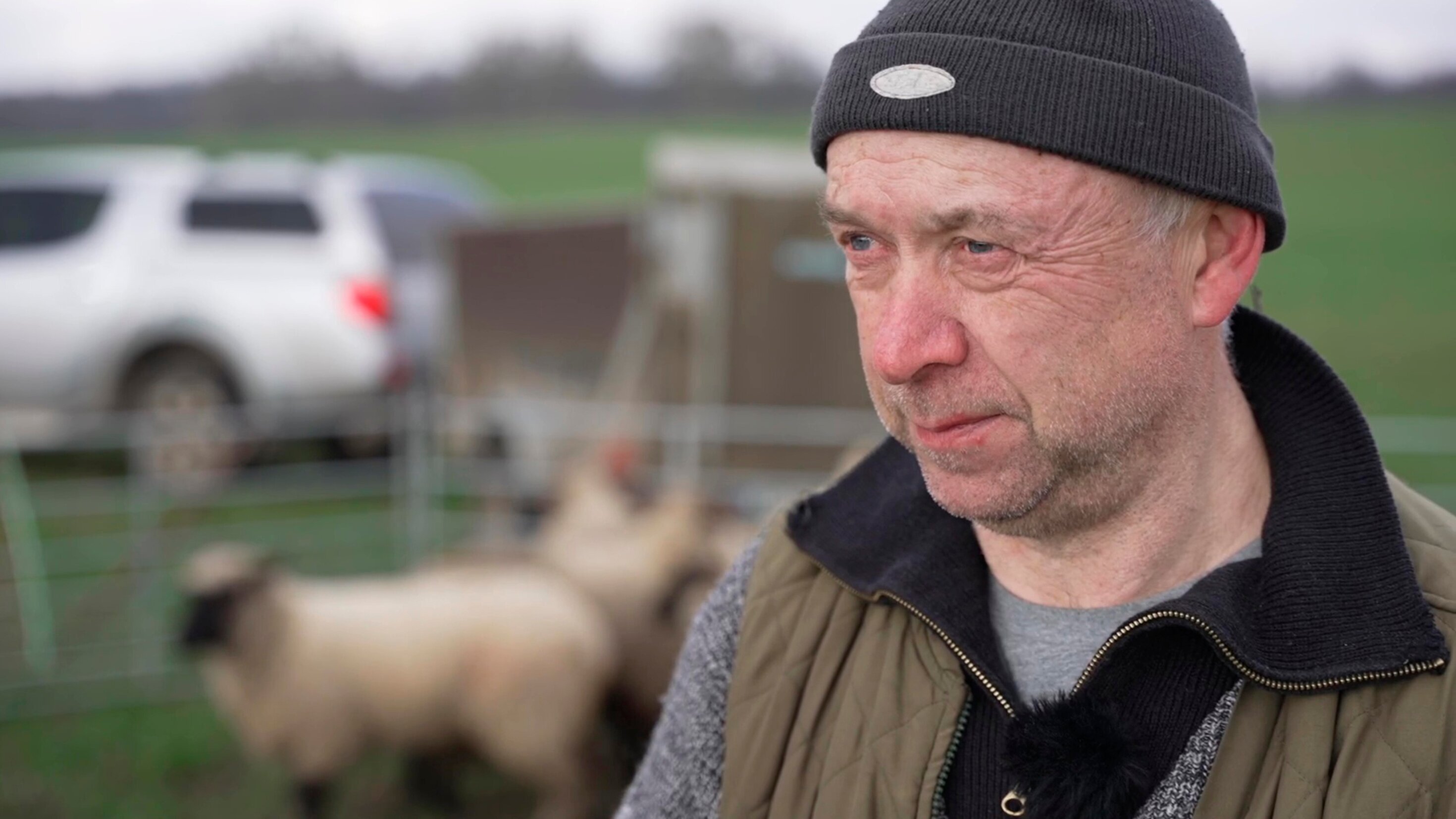 rbb24 Reportage: Wölfe, Wut und Weidezäune