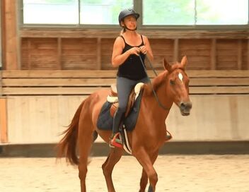 Au galop ! Une saison à cheval