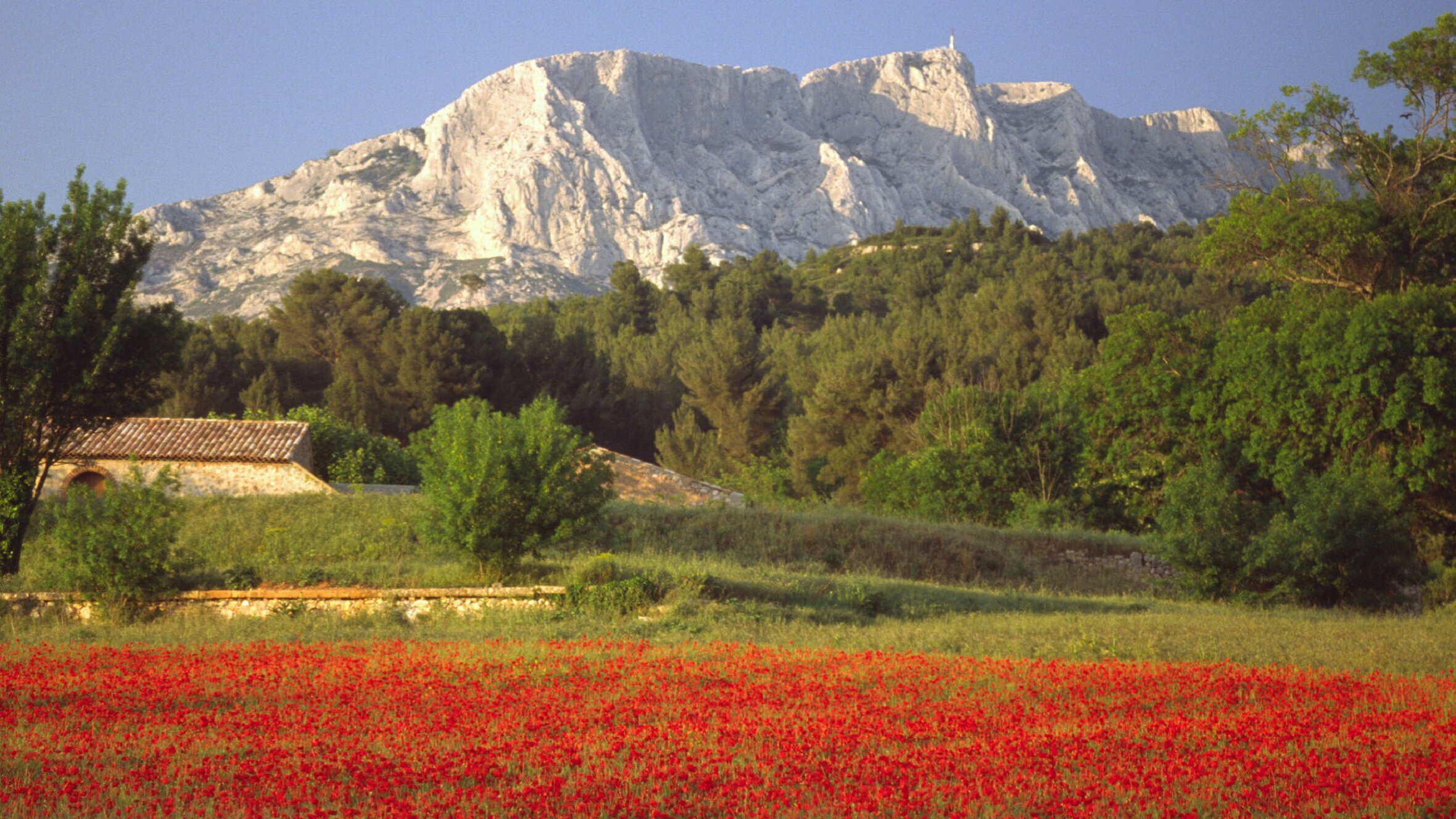 Der Duft der Provence – Trüffelhunde und Lavendel