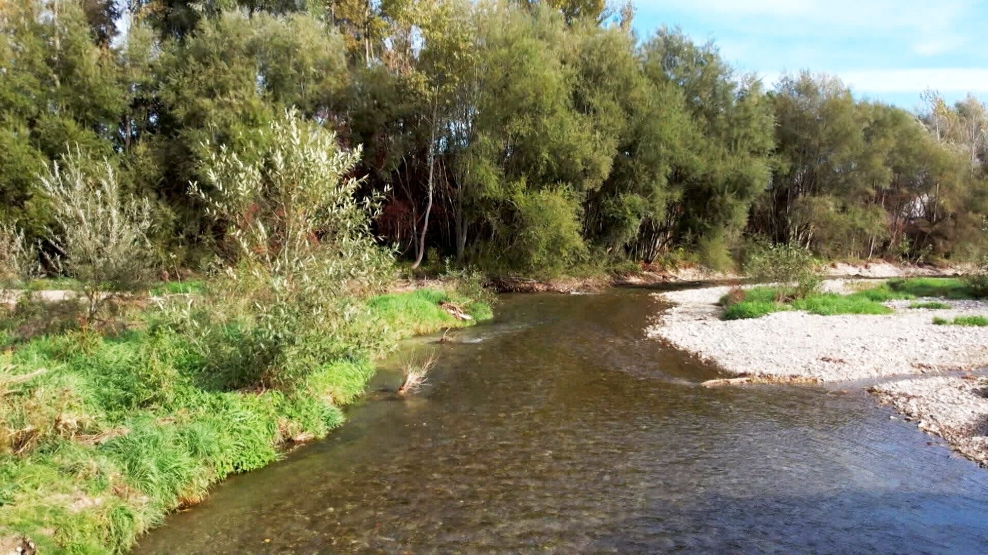 Wasserwege in Österreich – Die Leitha