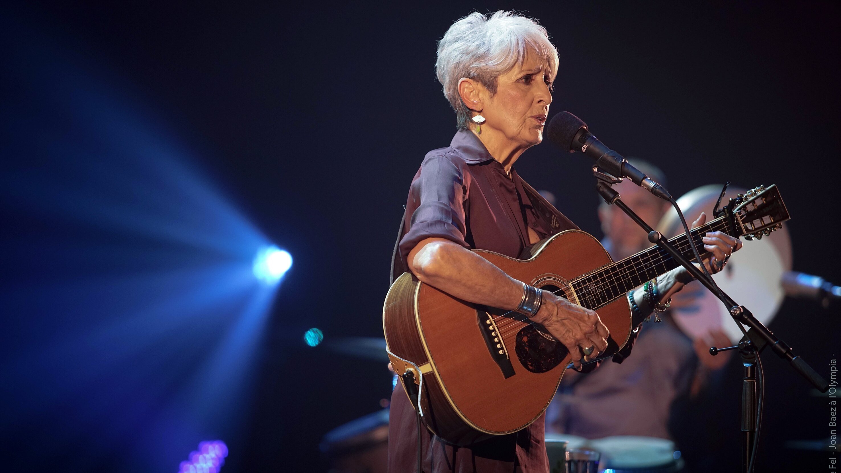 Joan Baez: The Fare Thee Well Tour