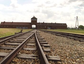 Auschwitz, la machine de mort nazie