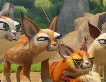 Les as de la jungle à la rescousse