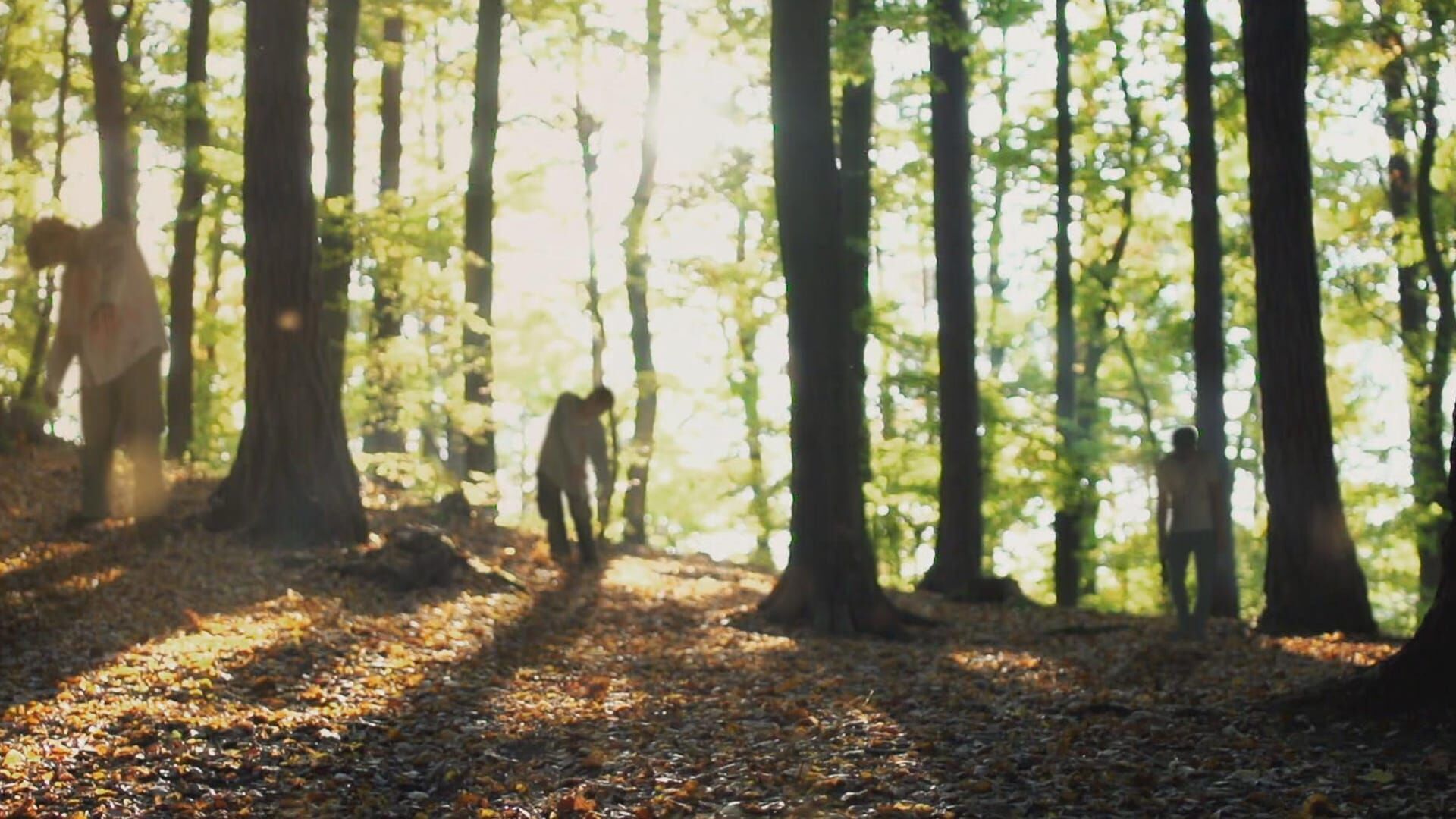 Unheimliche Videos – Wahrheit oder Fake?