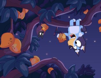 Bluey