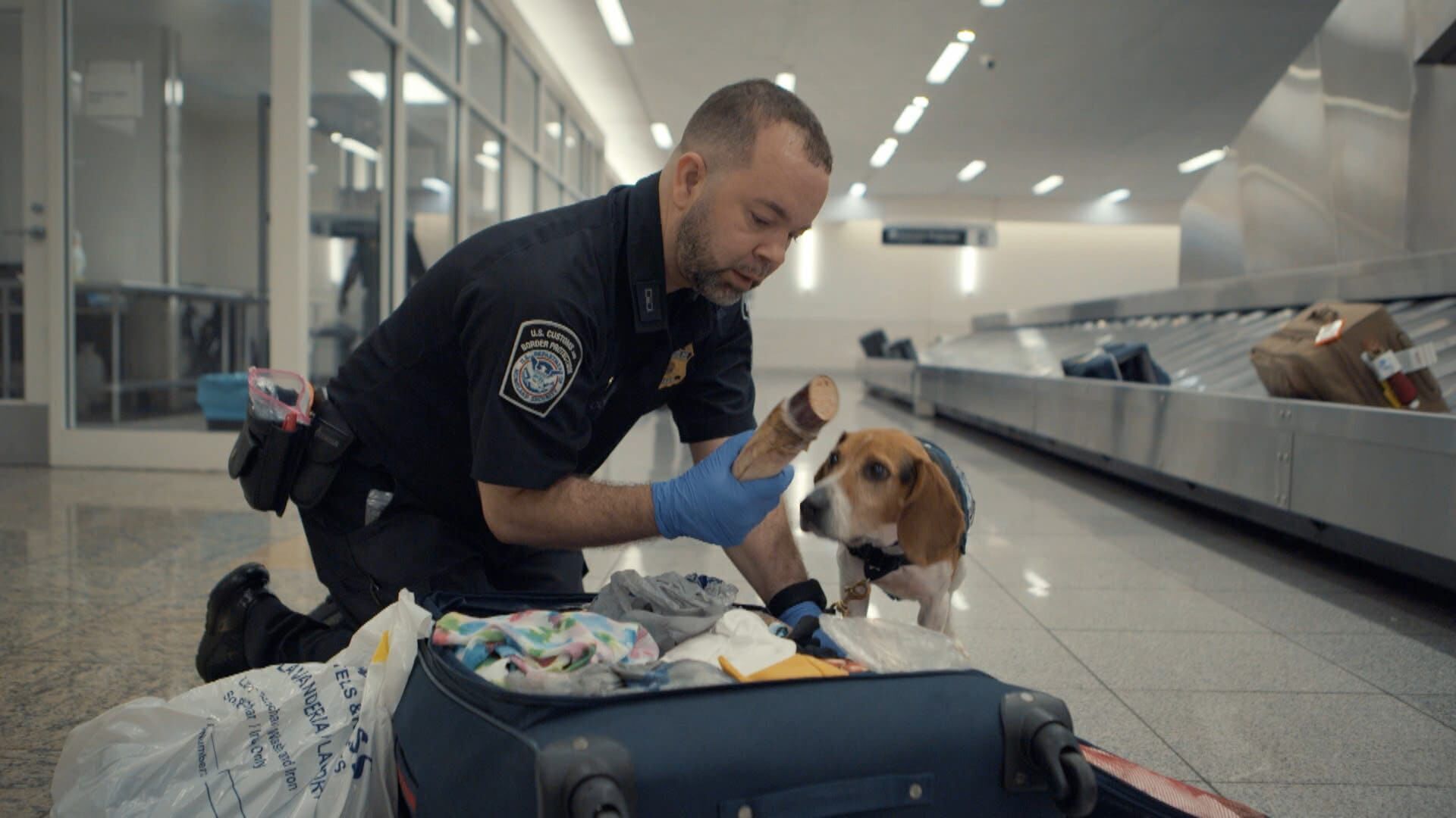 Airport Security USA