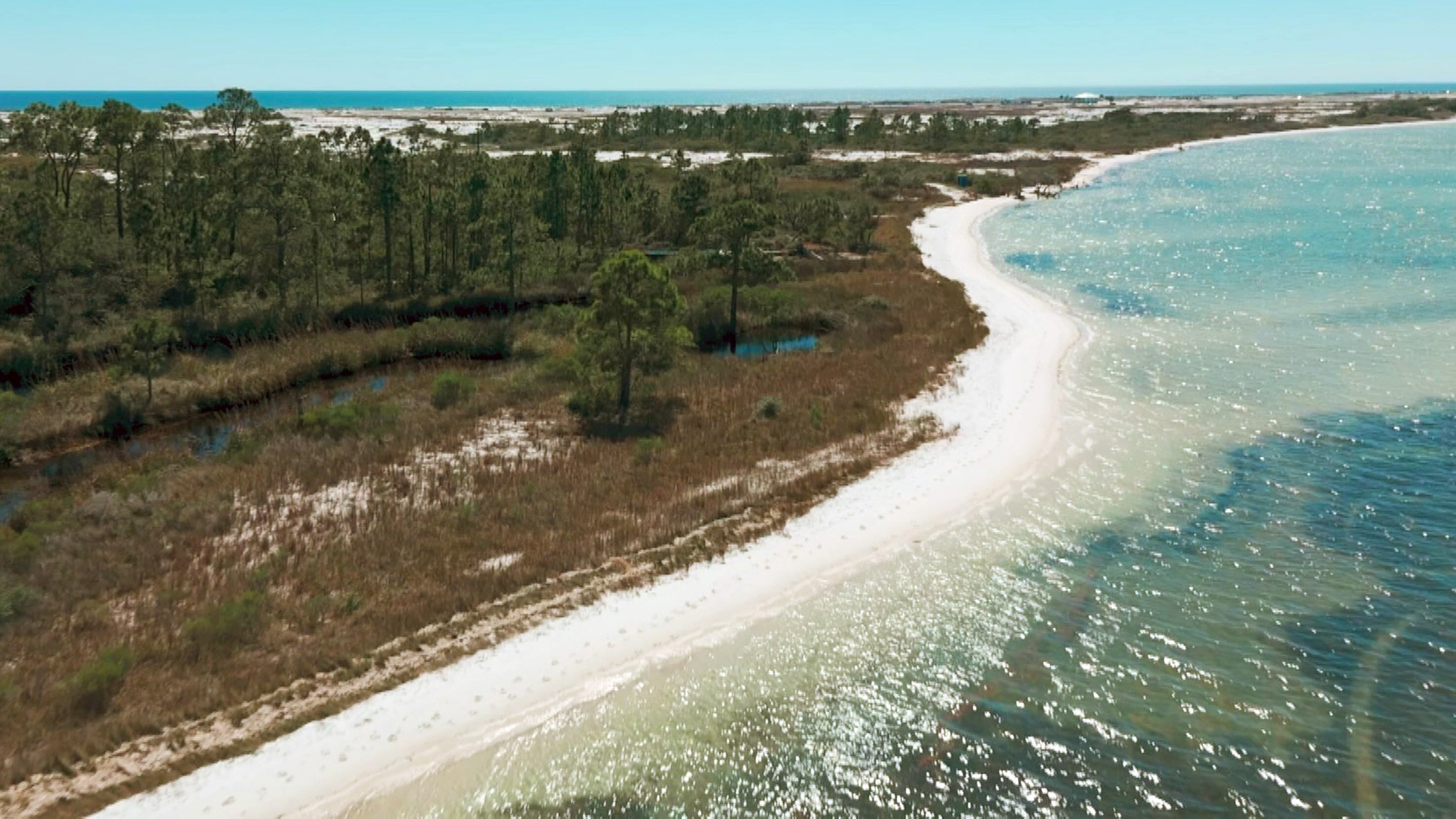 Unbekanntes Florida