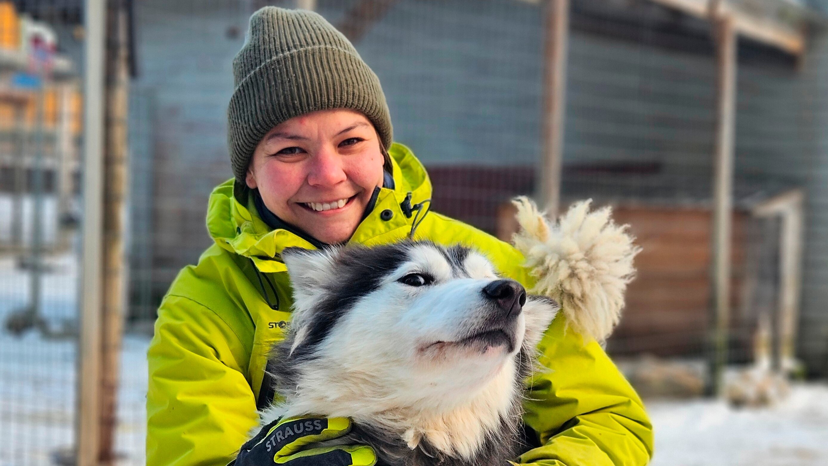 Das Camp in der Wildnis