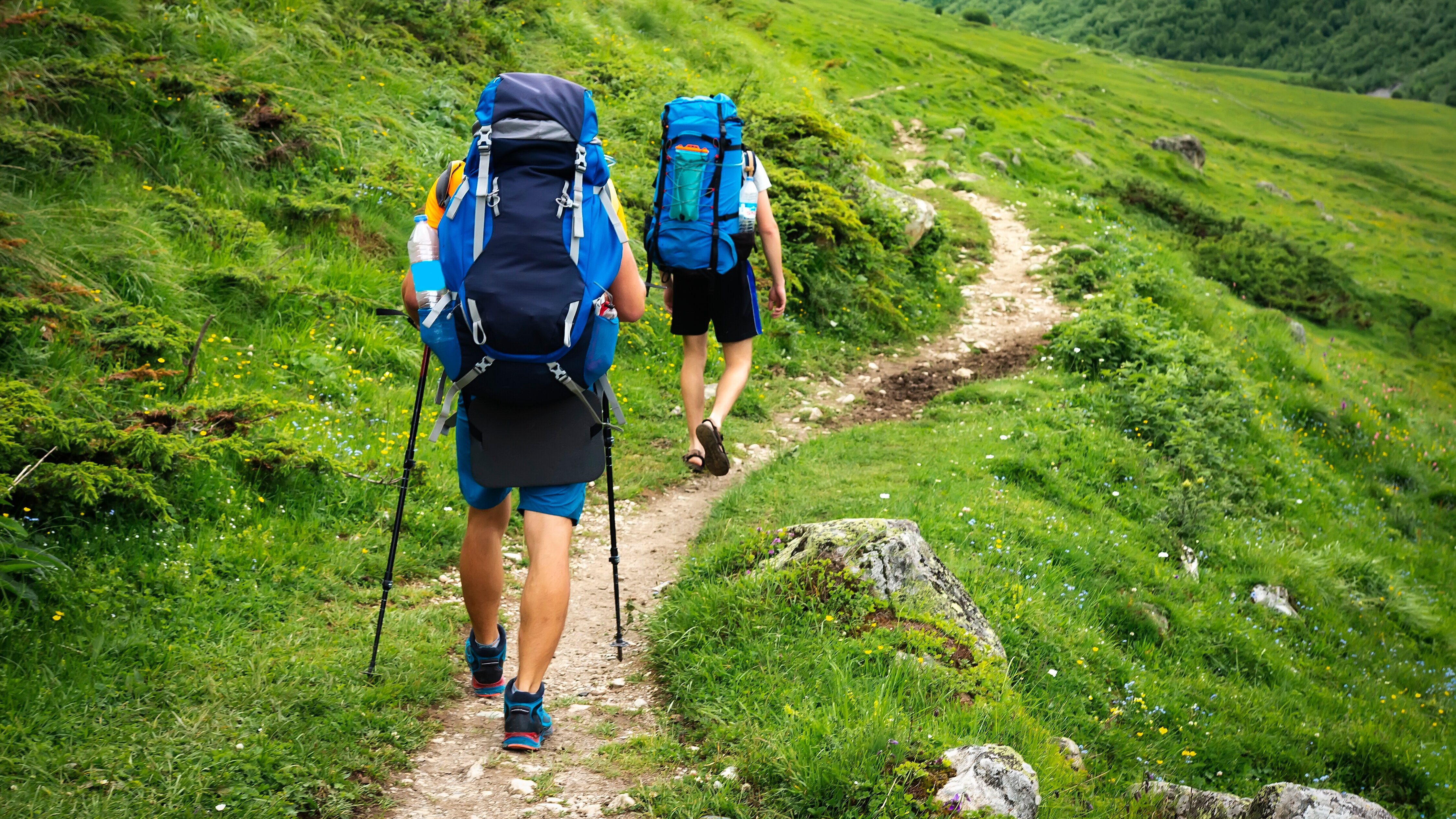 Trail: GT World Series