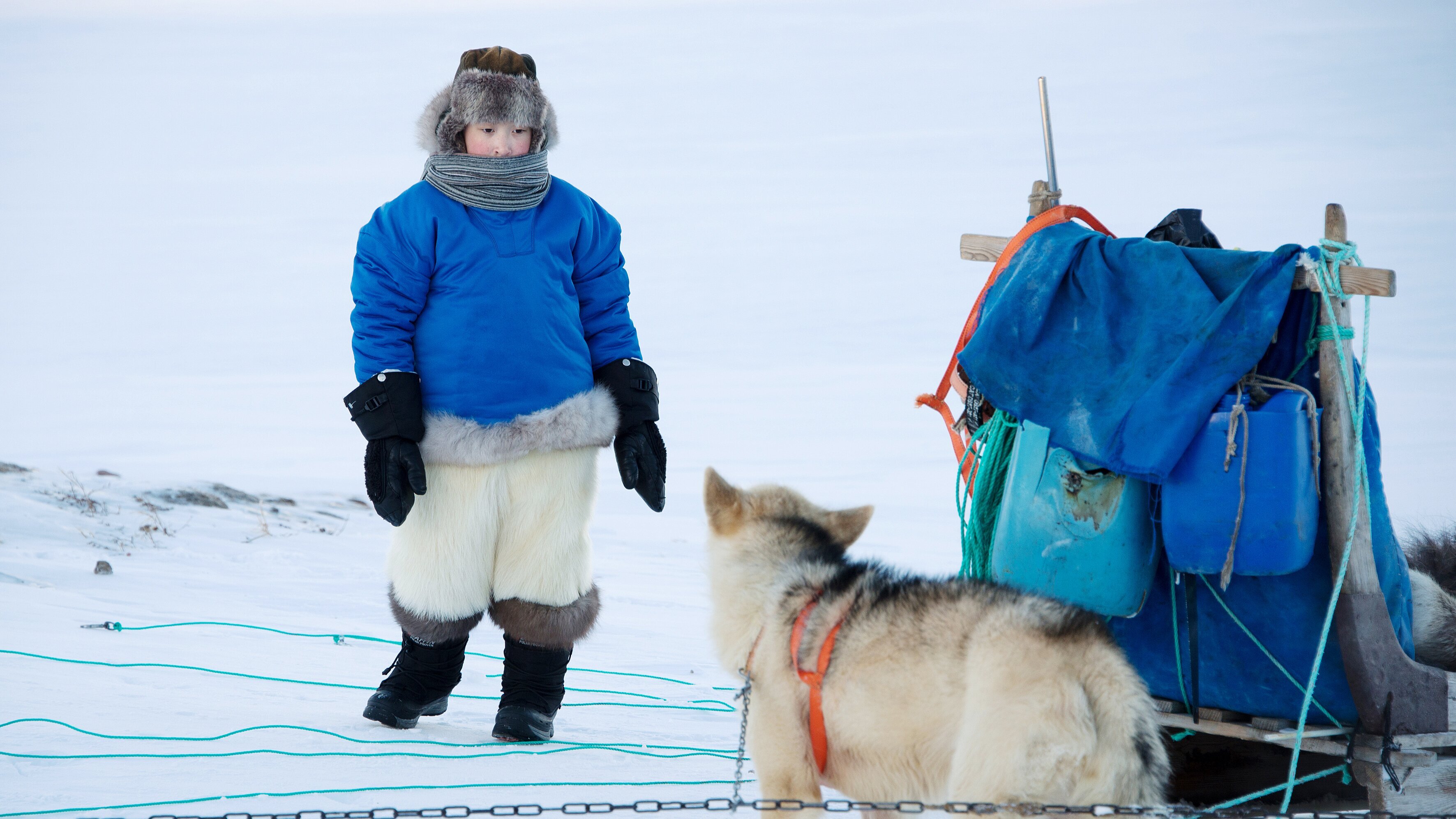 Tiermythen – Jäger des Lichts