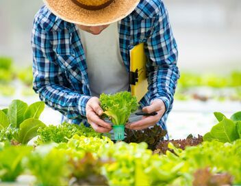 France : le comté à l'heure des comptes