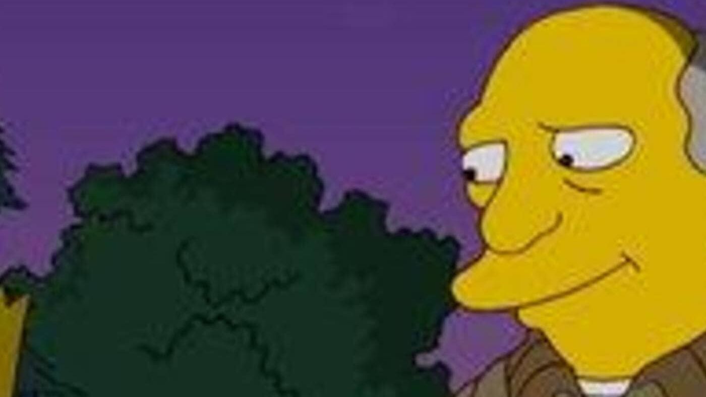 Die Simpsons