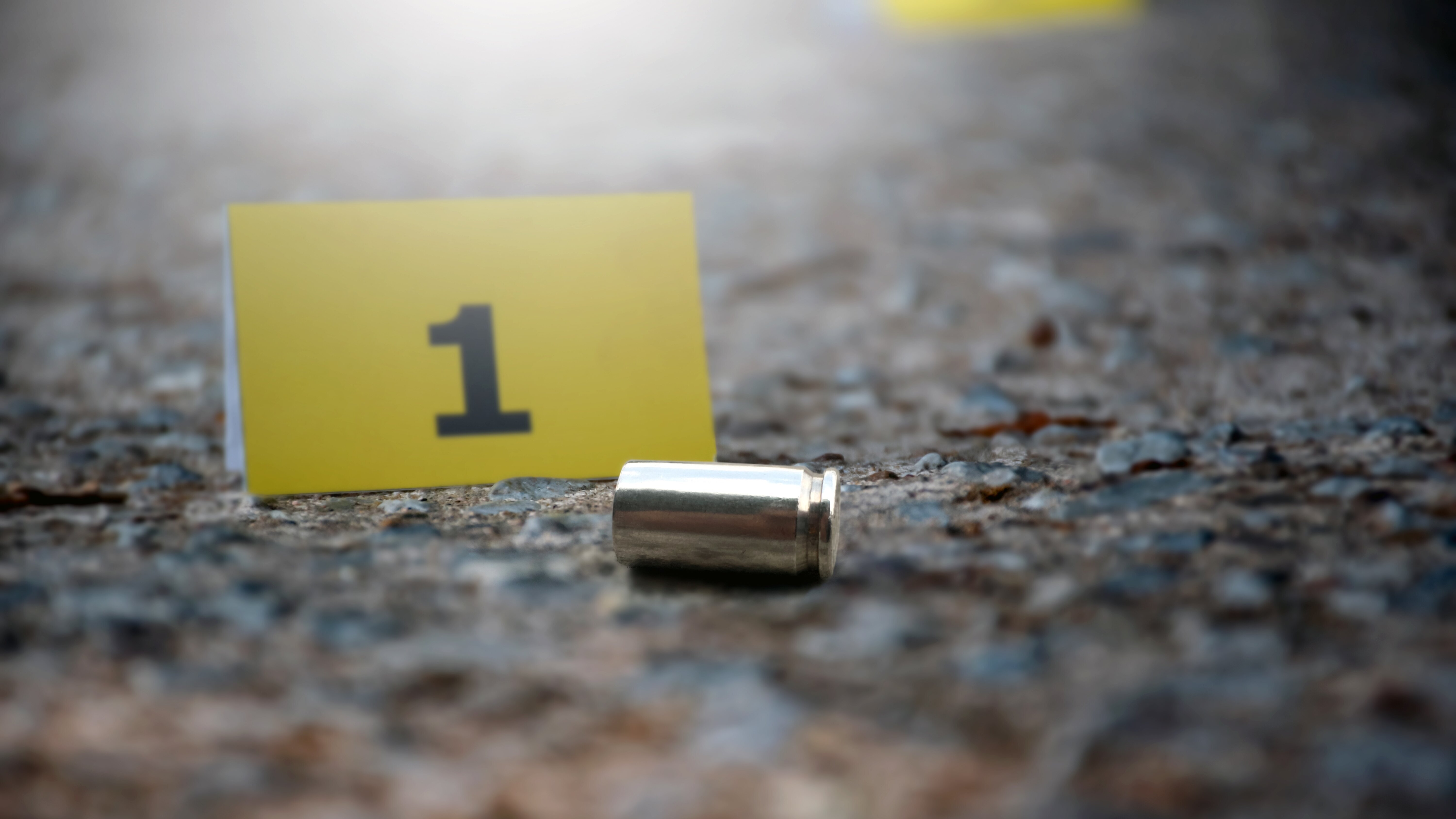 Unexpected Killer – Die Mörder von nebenan