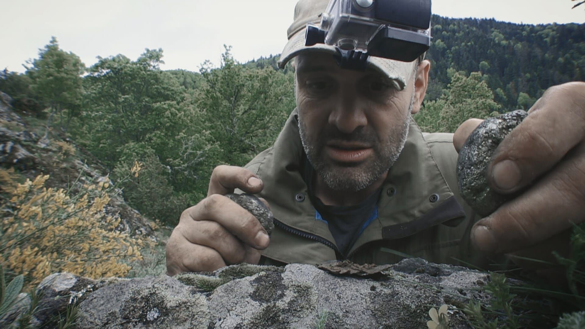 Ed Stafford: Allein gegen die Wildnis