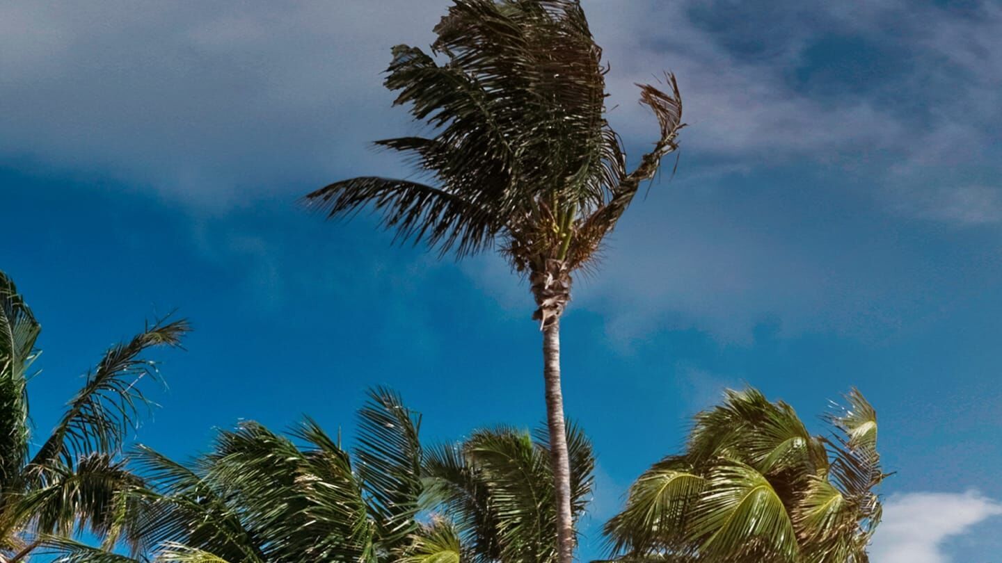 Traumhaus am Strand gesucht